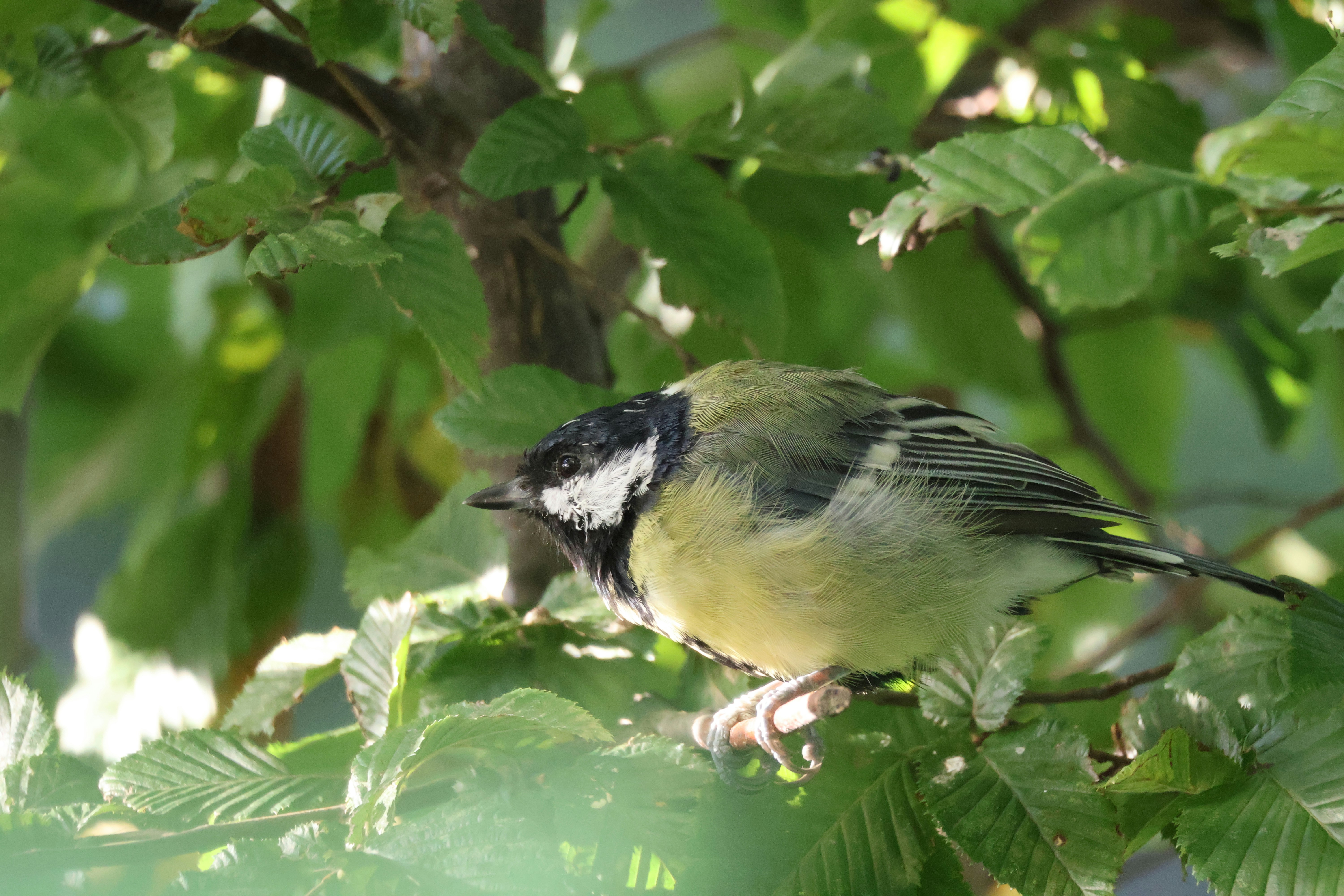 Photo by shooter__andy