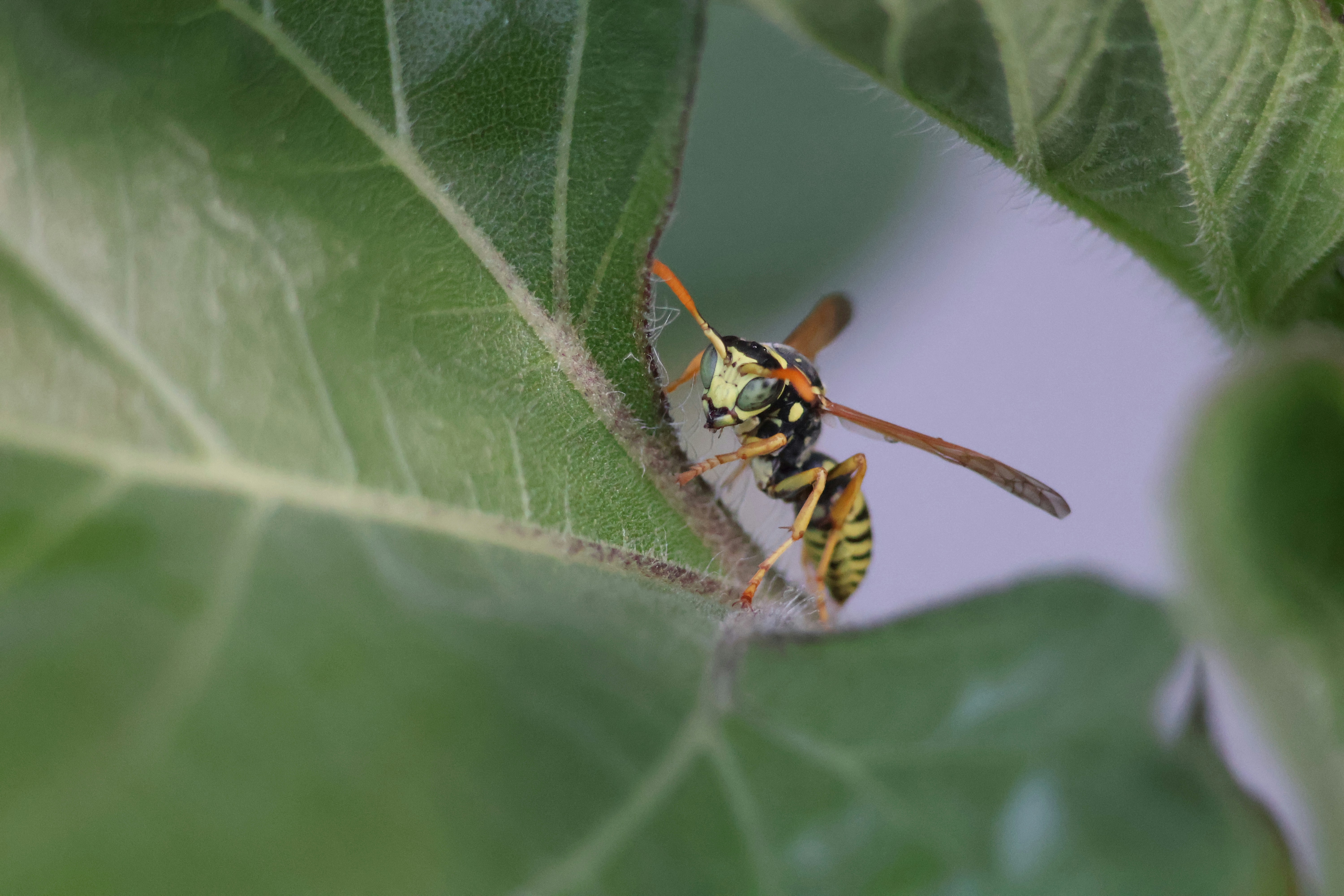 Photo by shooter__andy