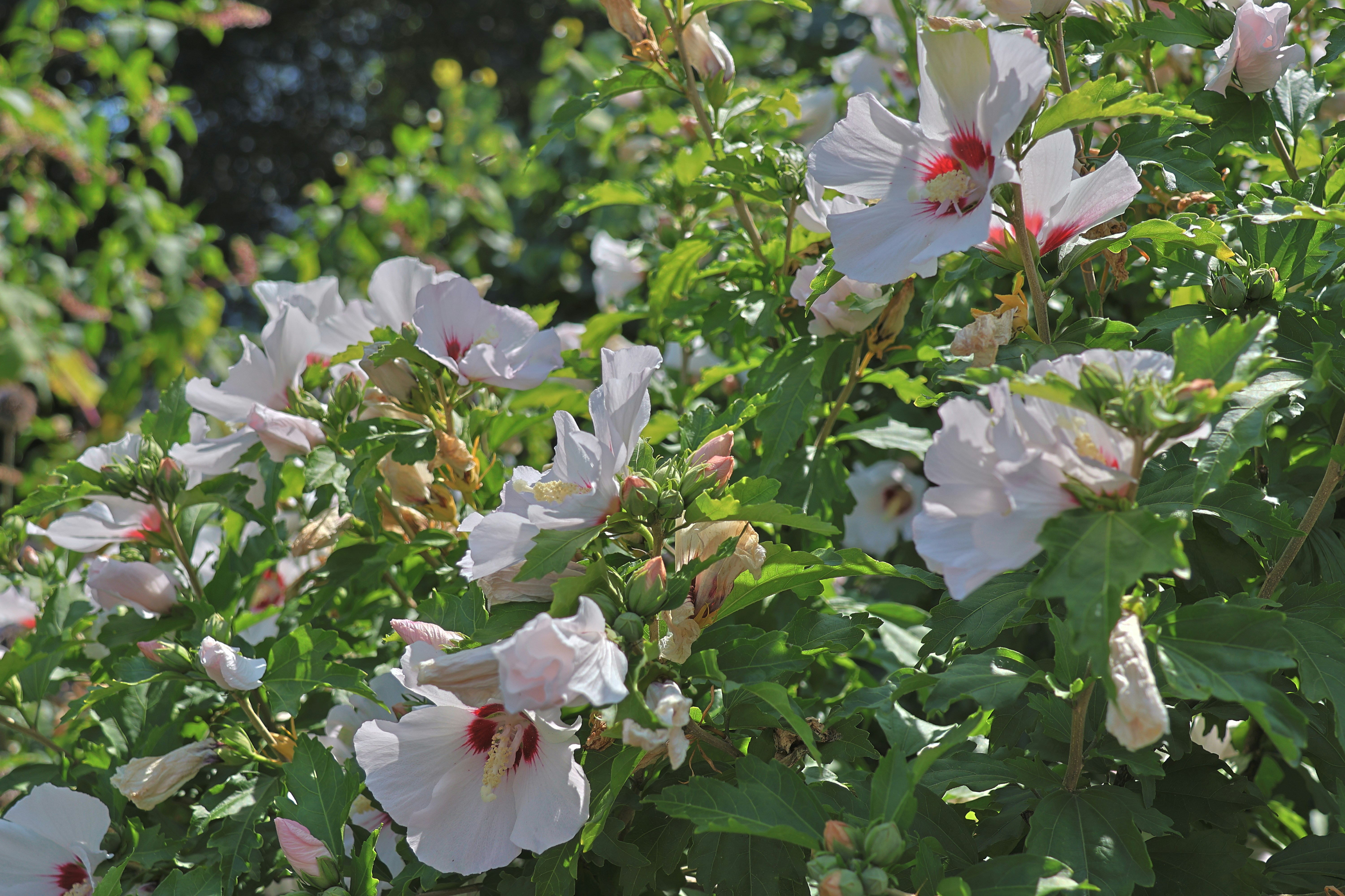 Photo by shooter__andy