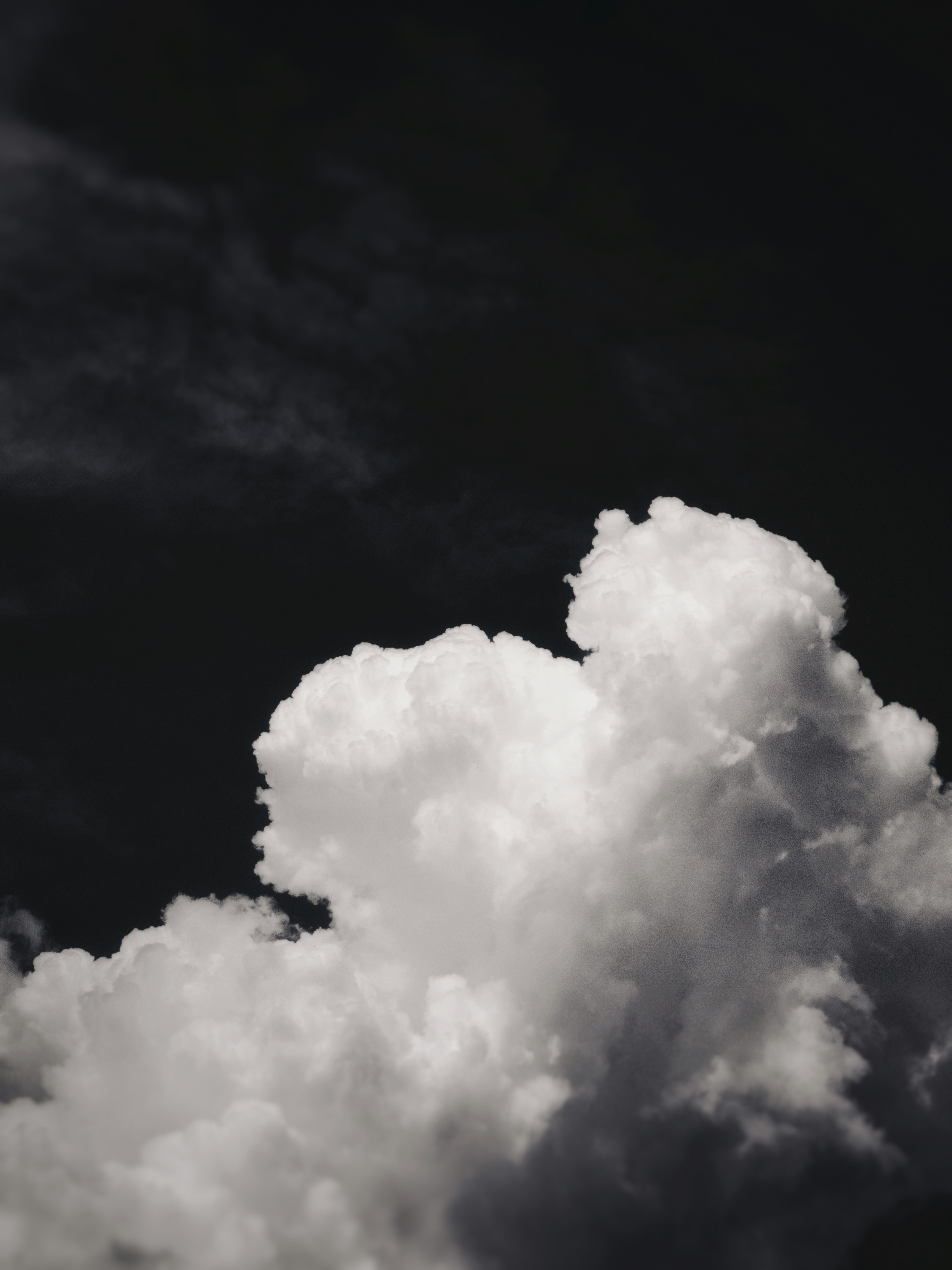 Photo by belmin_26_aljovic