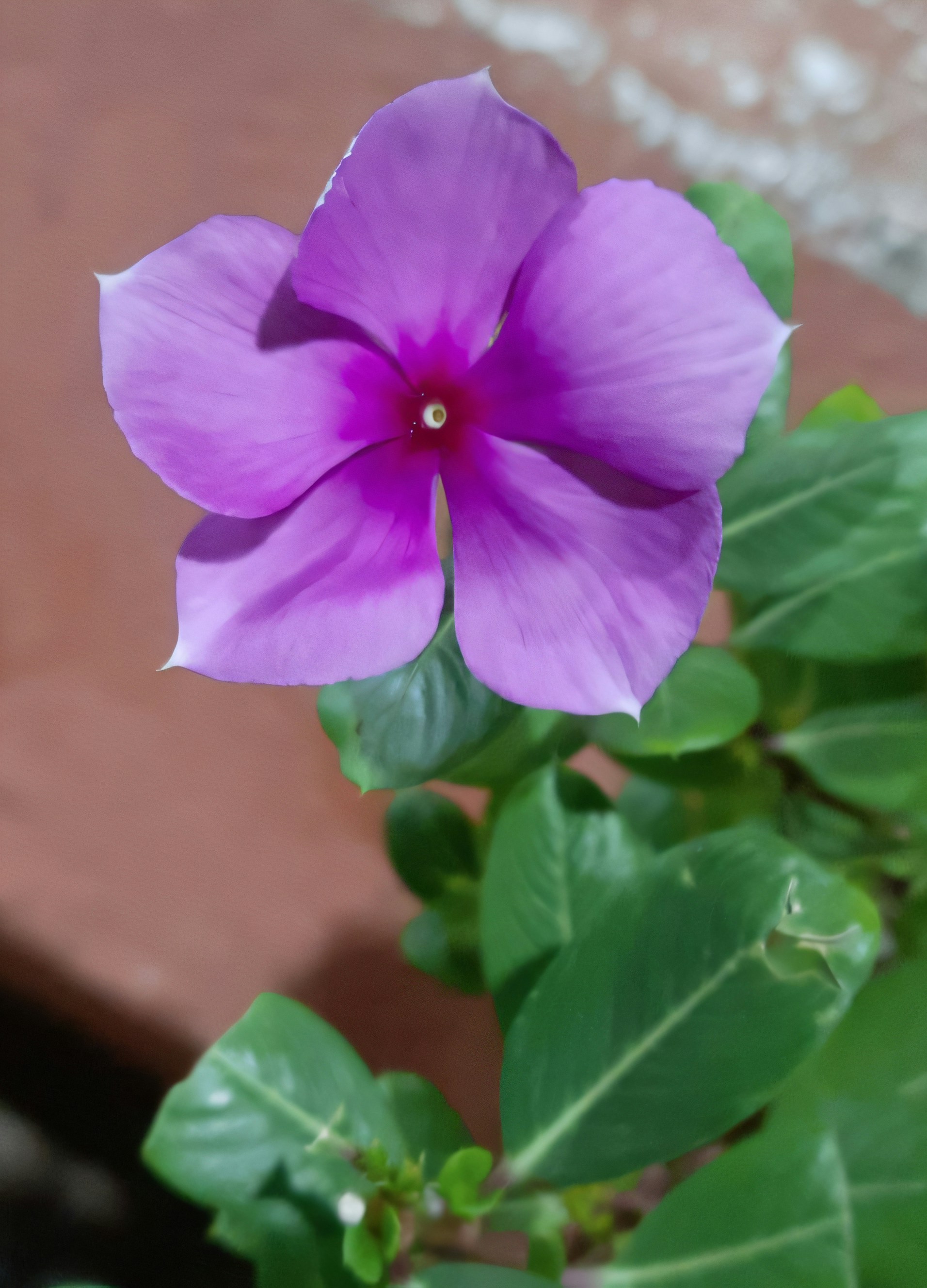 Photo by gopinath12