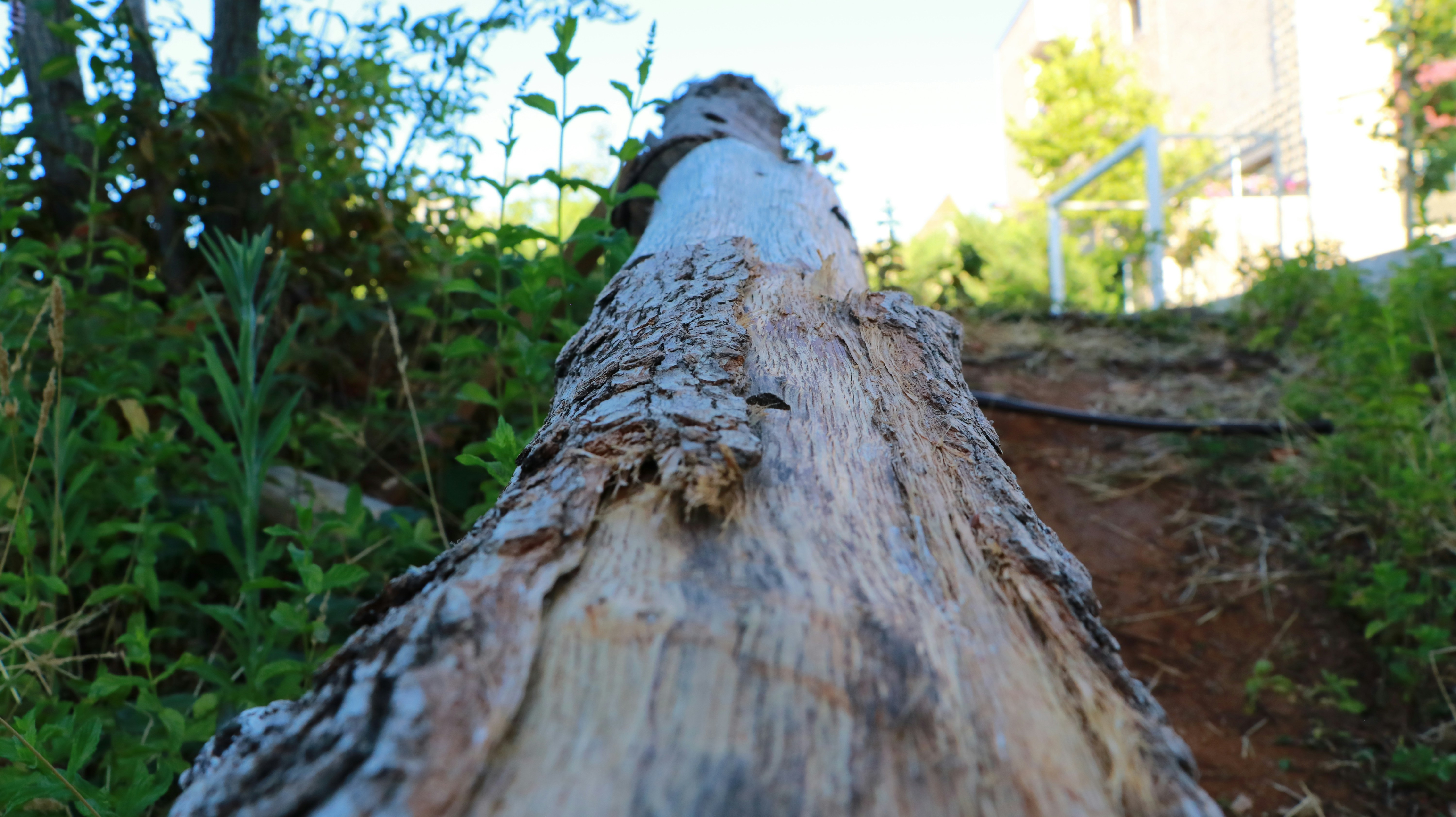 Photo by jack_harbieh