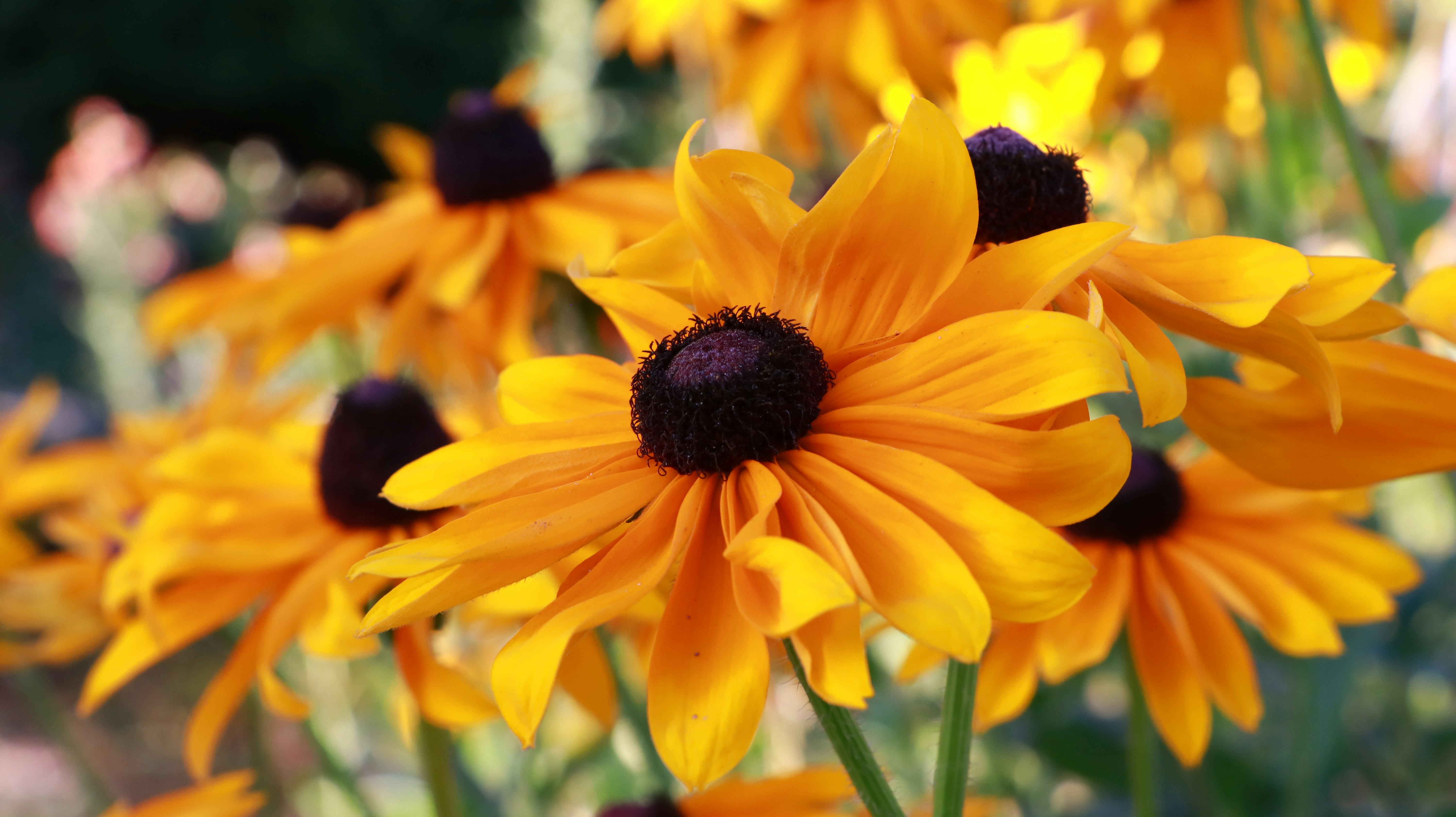 Photo by jack_harbieh