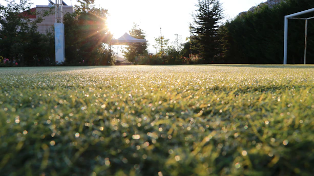A soccer field with a soccer goal in the background