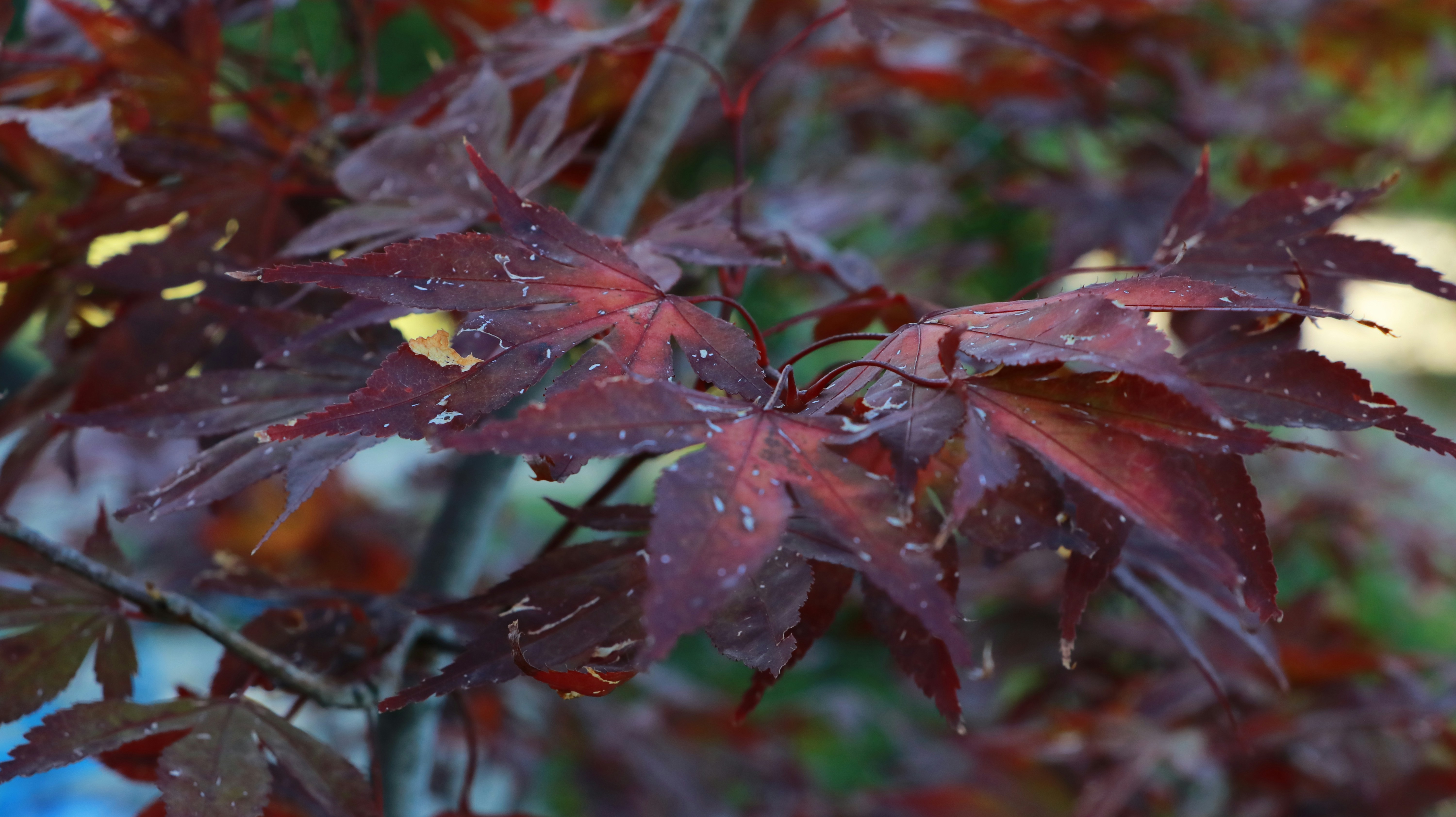 Photo by jack_harbieh