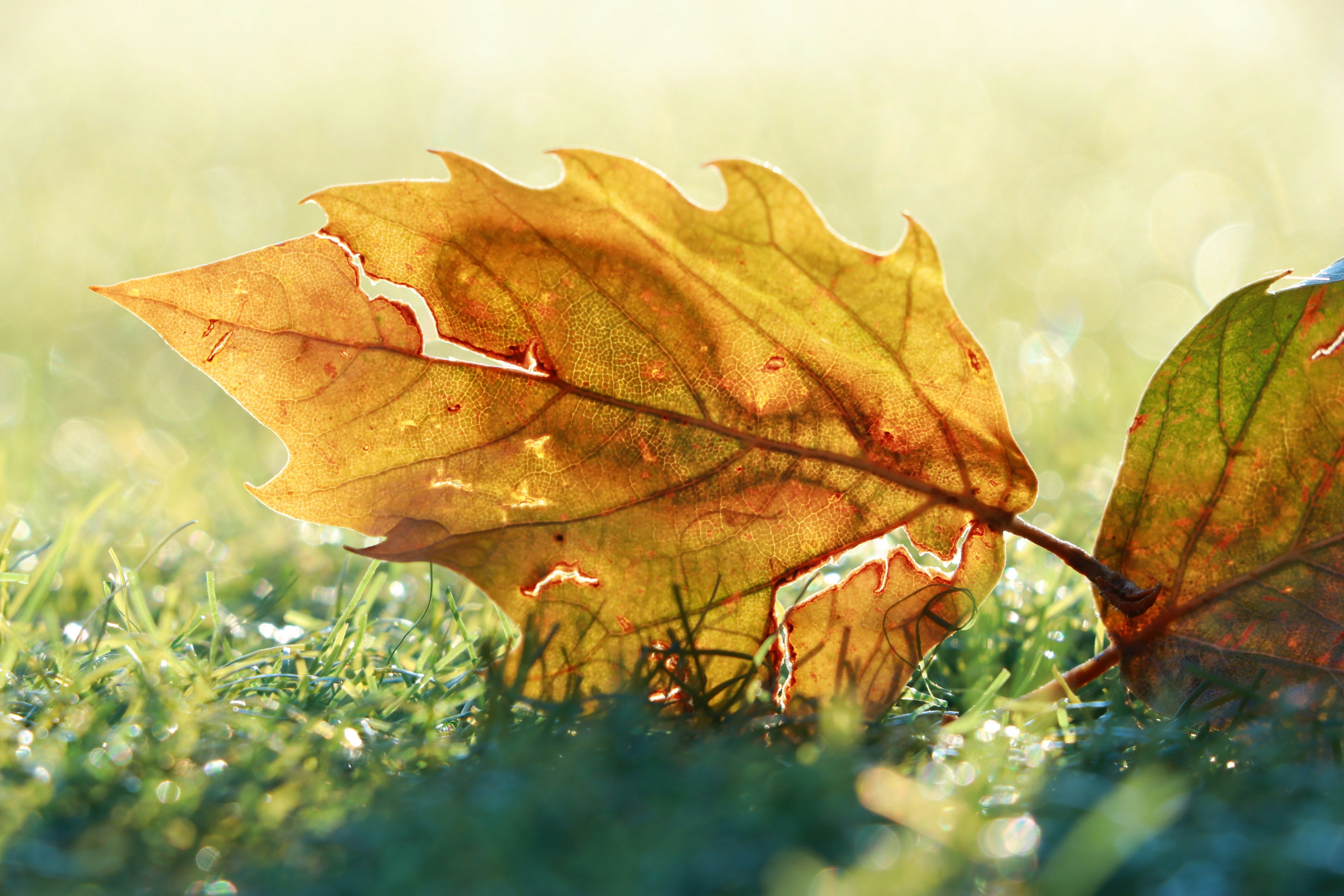 Photo by jack_harbieh