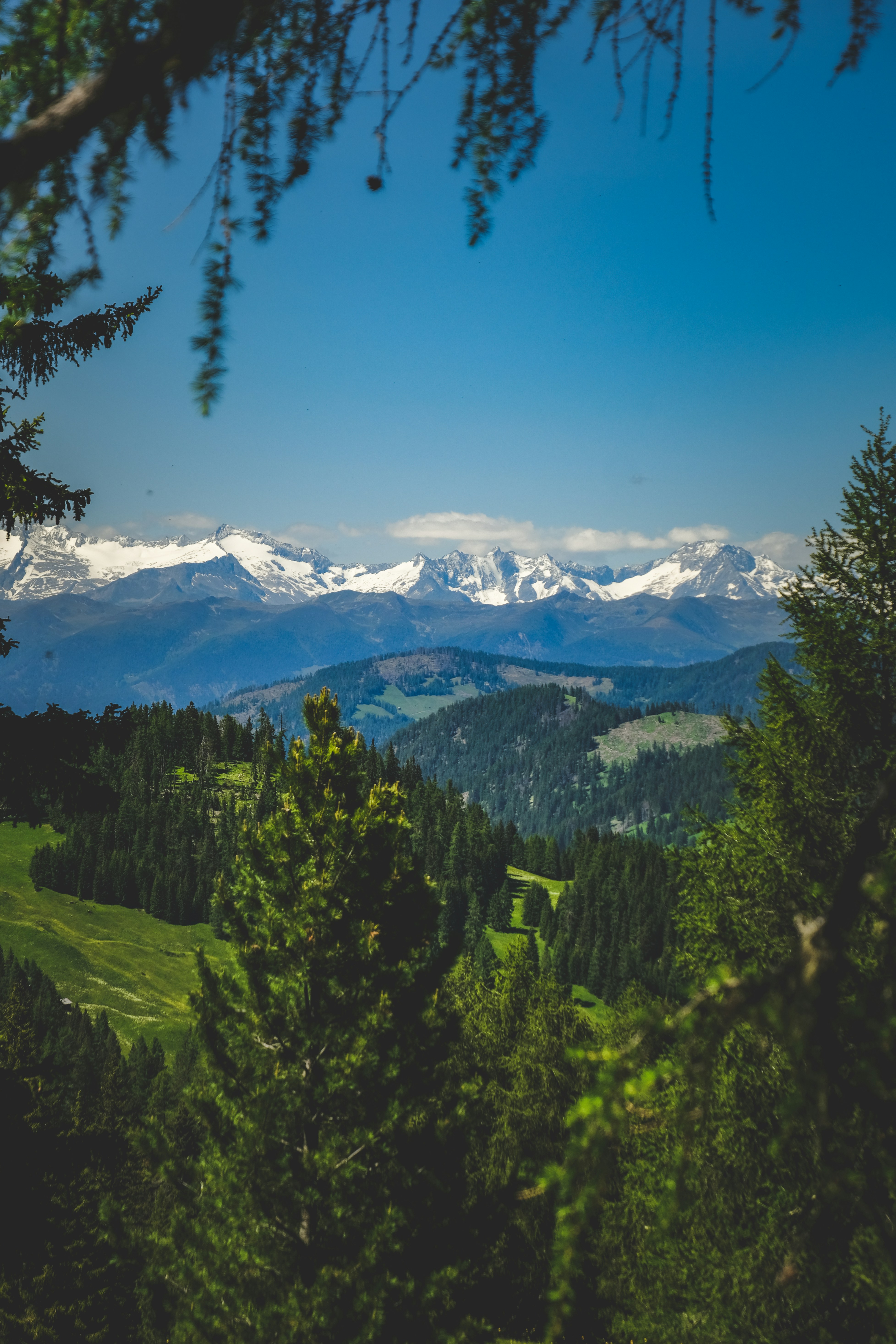 Photo by francesco_ungaro