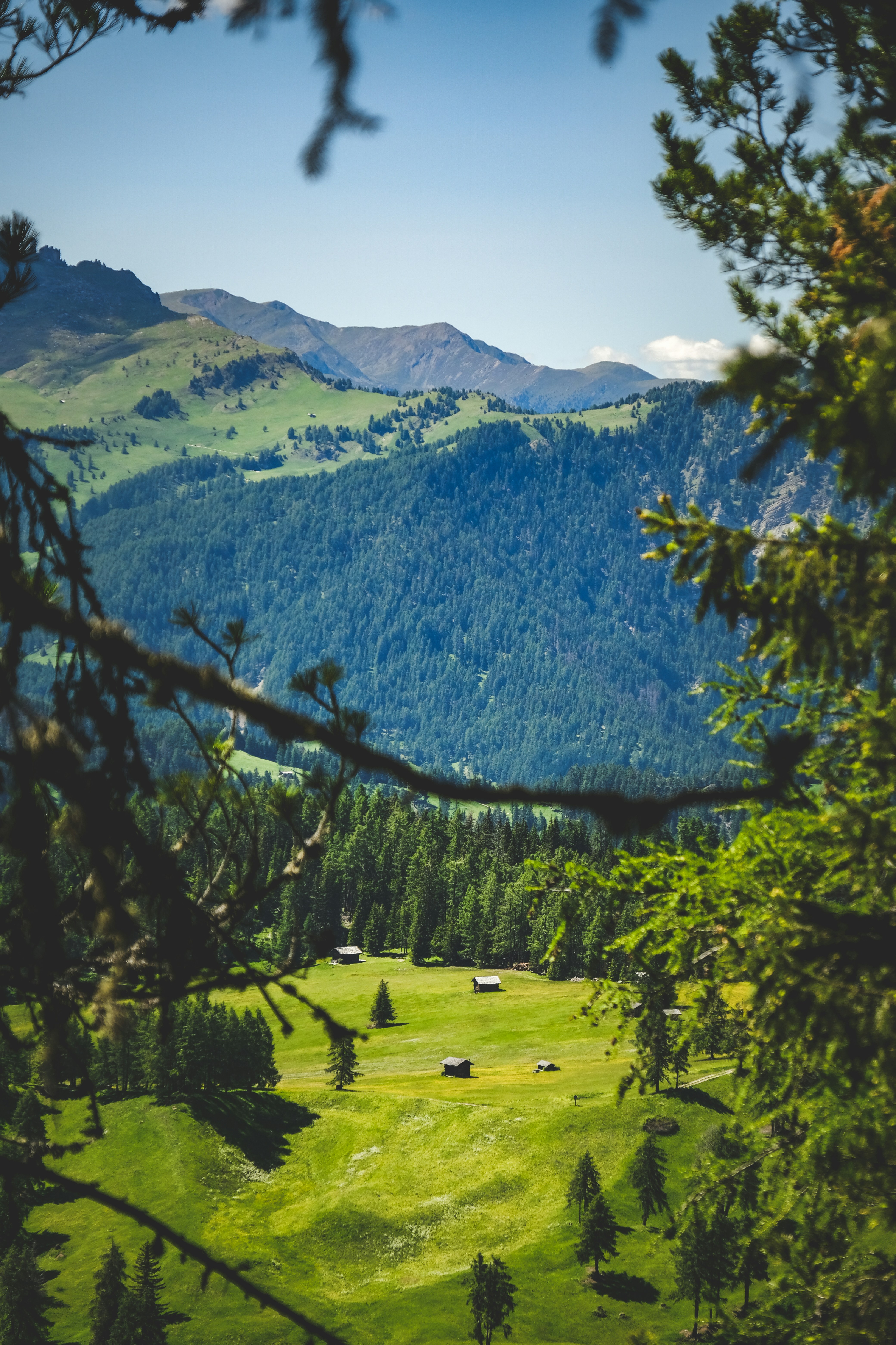 Photo by francesco_ungaro