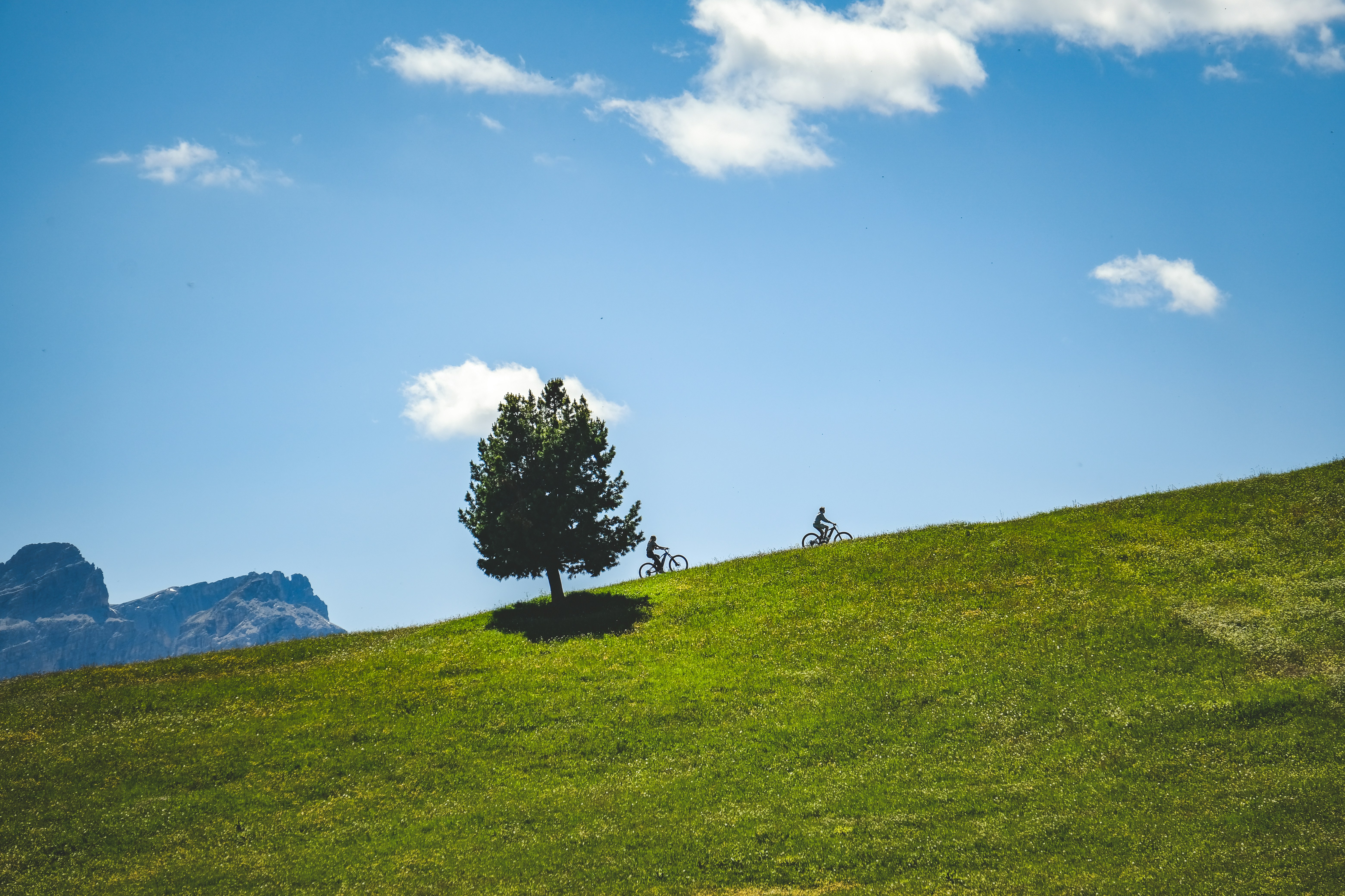 Photo by francesco_ungaro