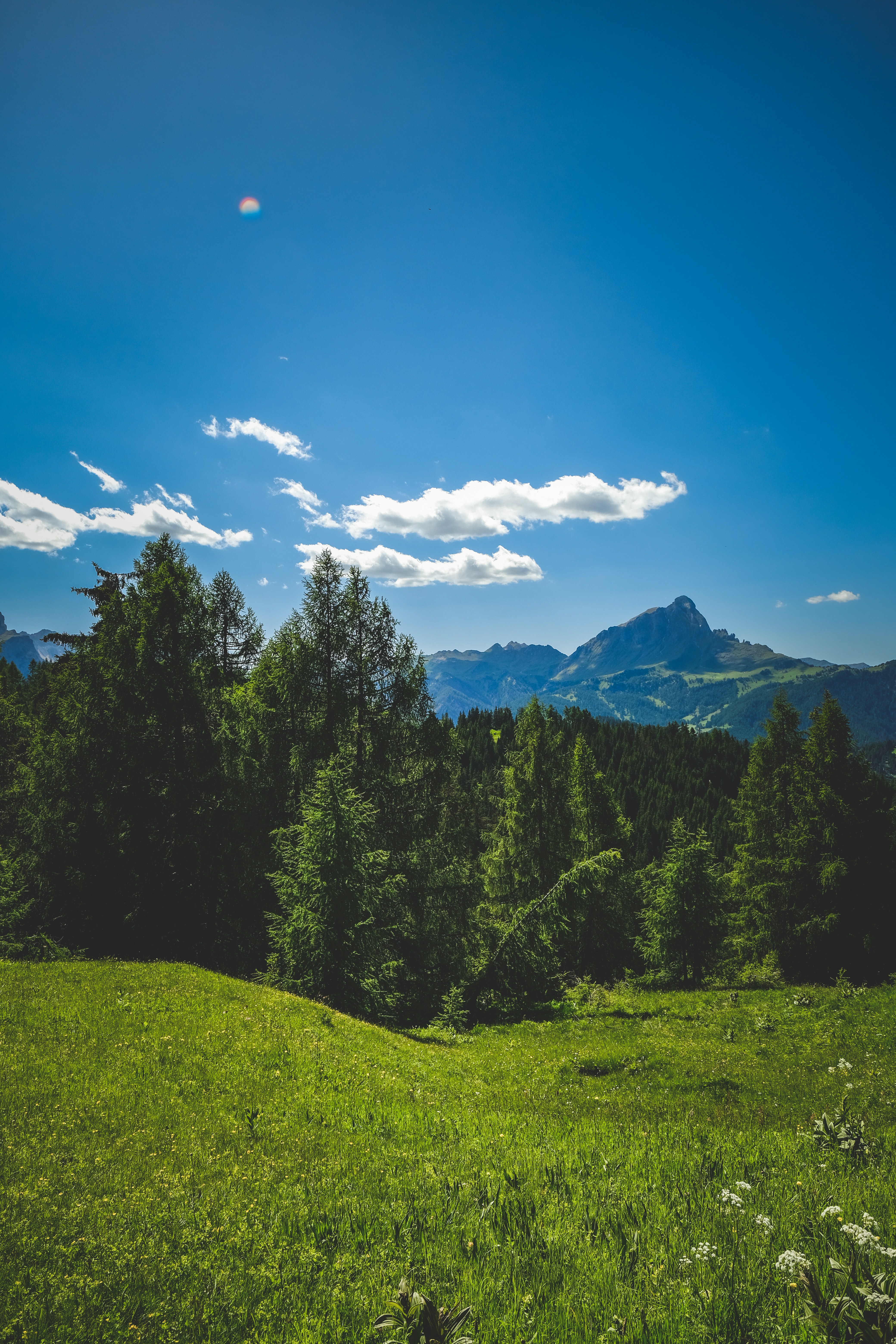 Photo by francesco_ungaro