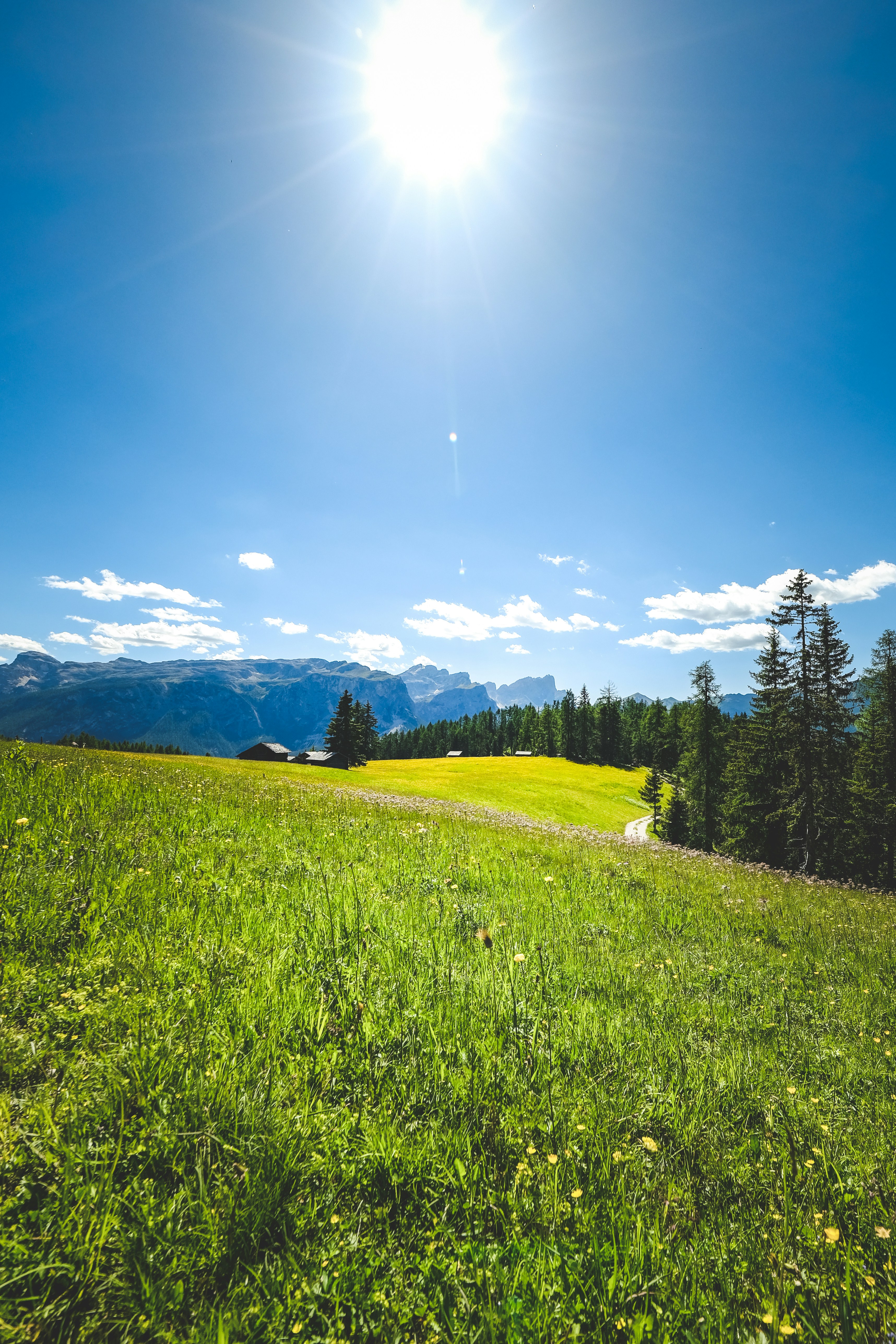 Photo by francesco_ungaro