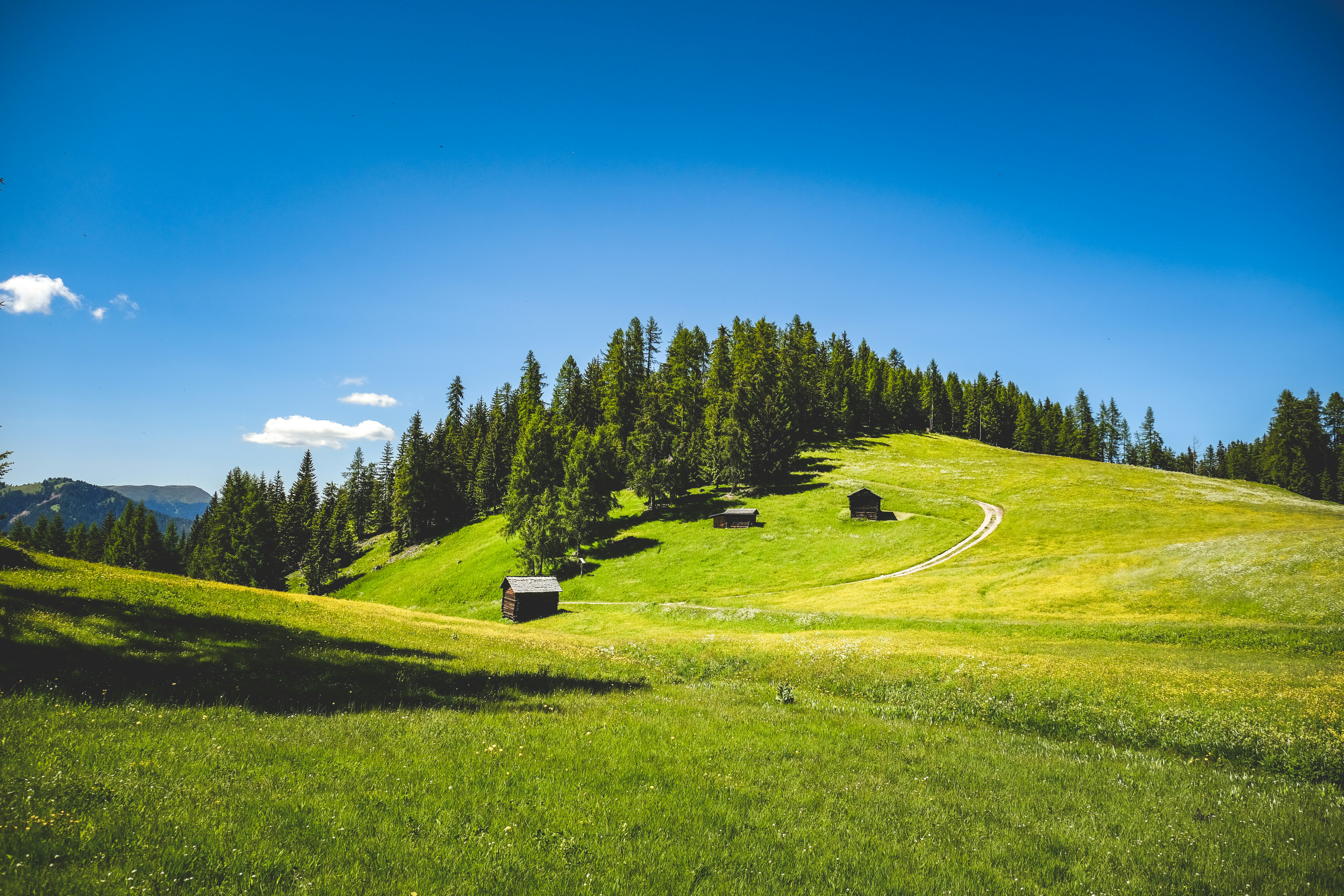 Photo by francesco_ungaro