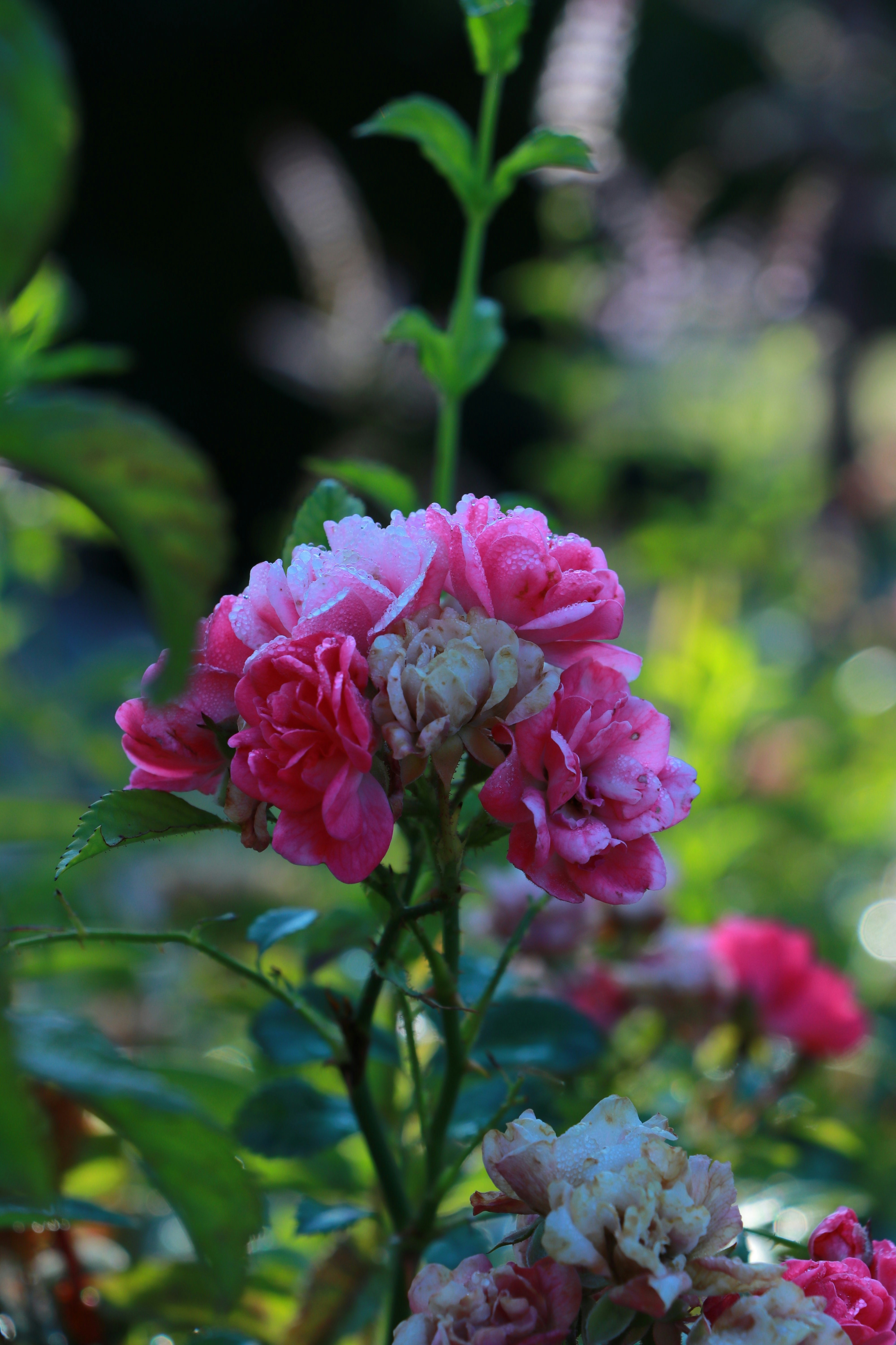 Photo by jack_harbieh