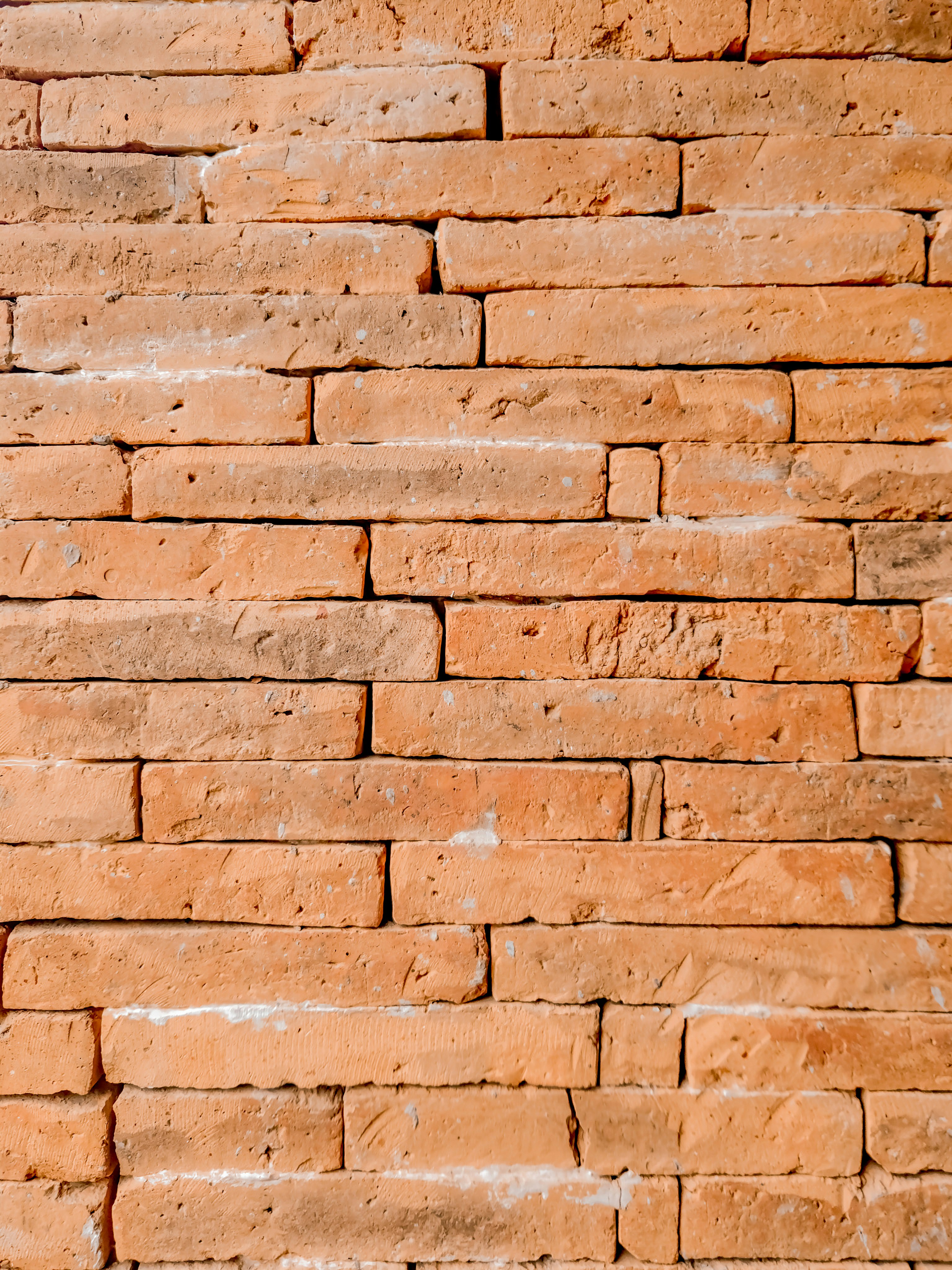 Photo by your_scorpion