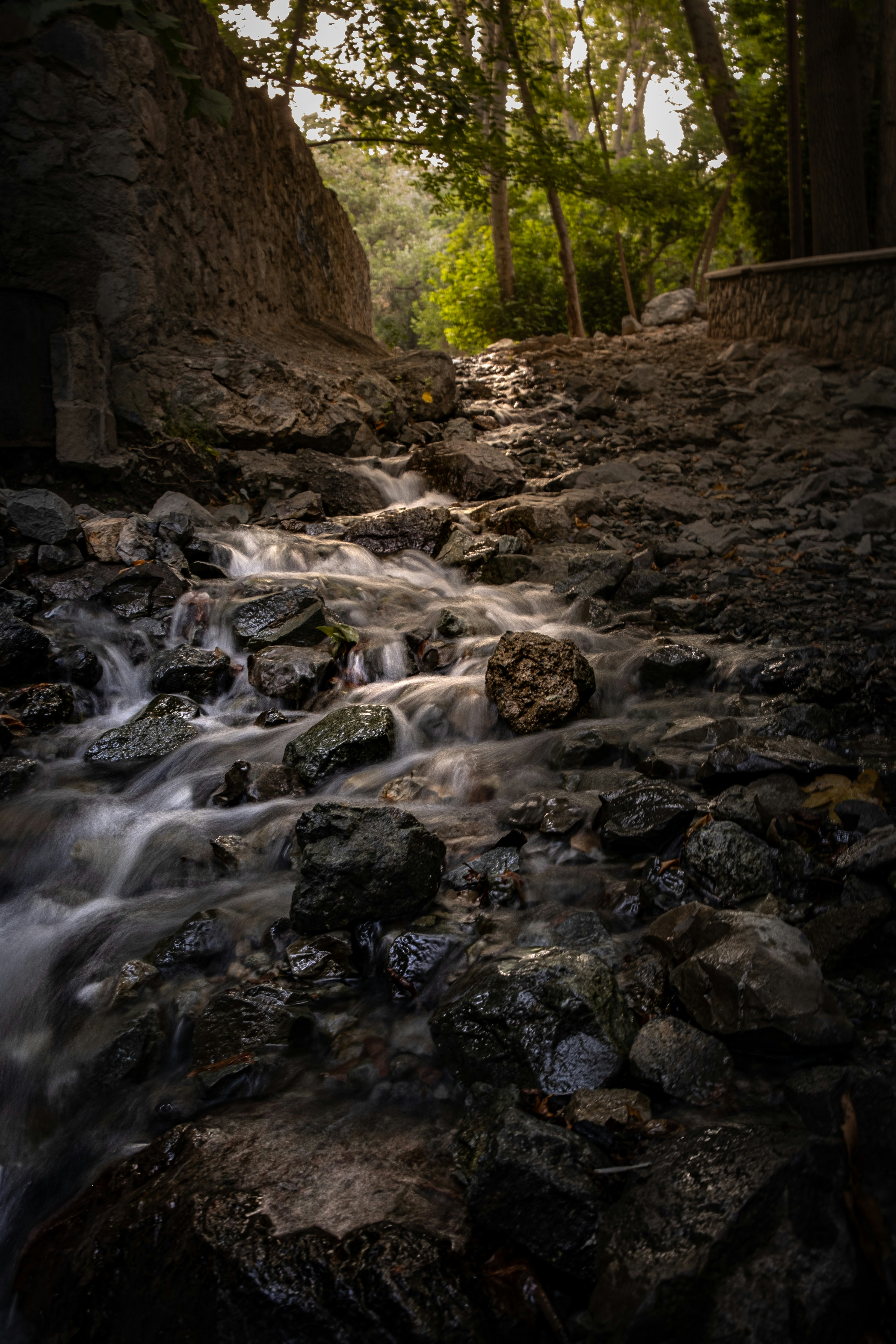Photo by sajadnori