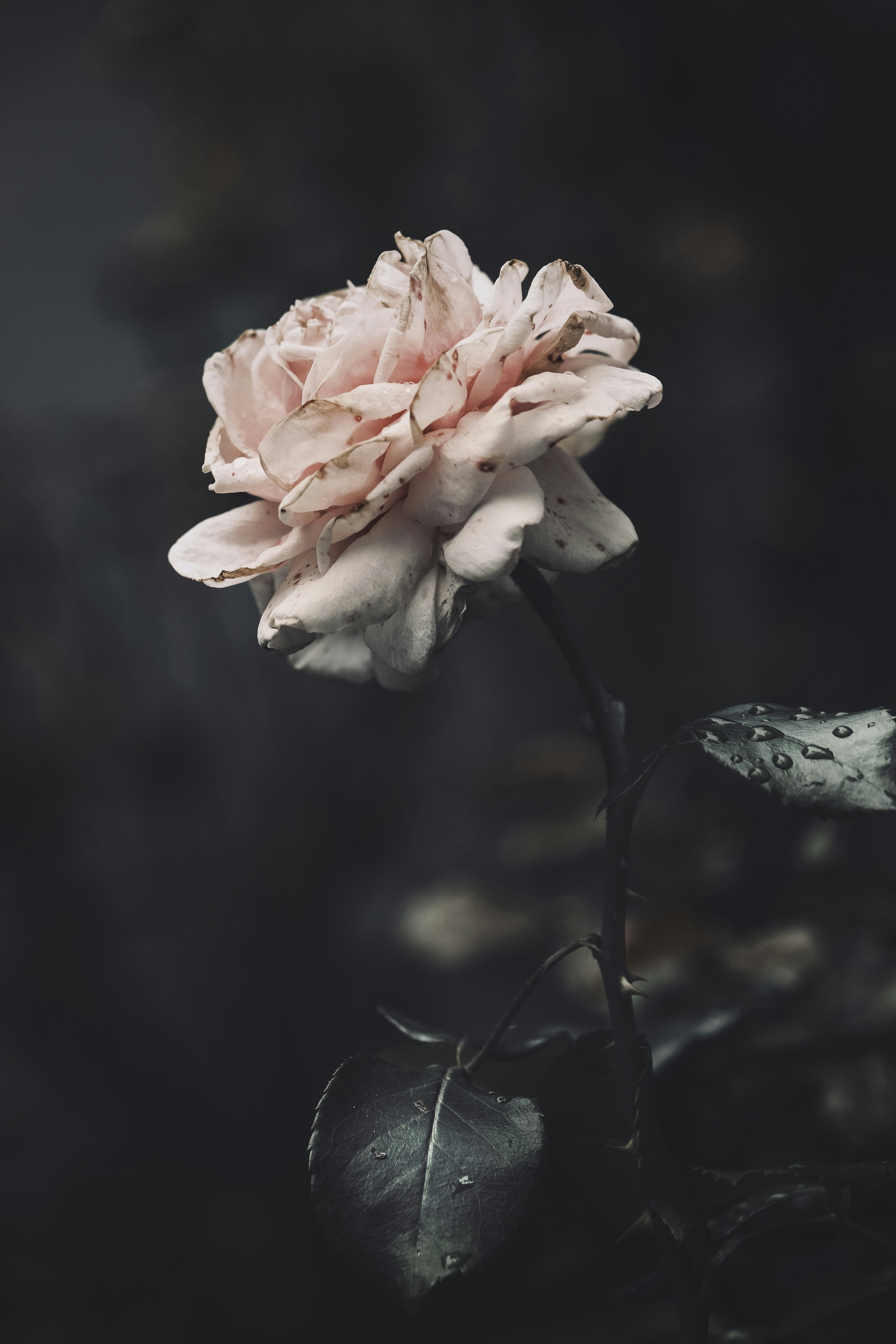 Photo by mkrawczynski