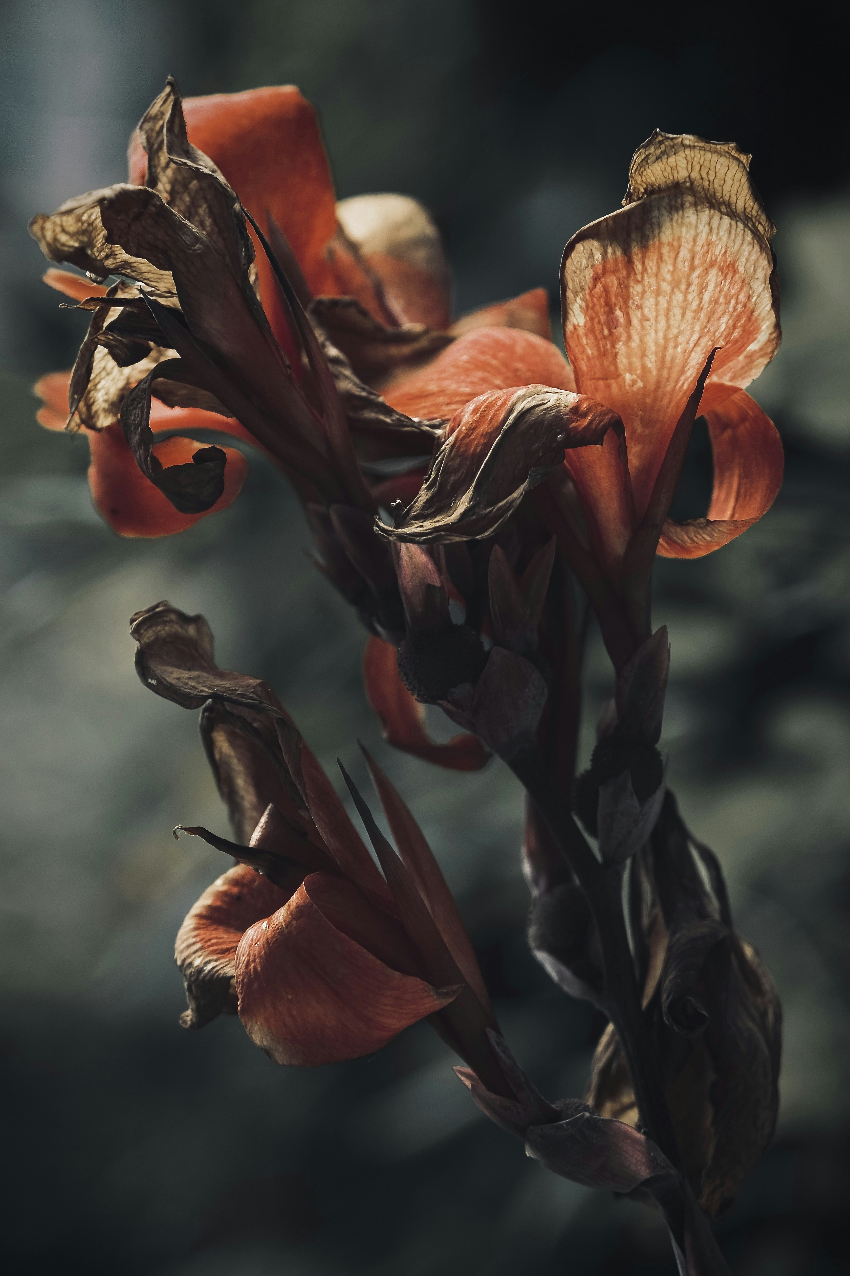 Photo by mkrawczynski