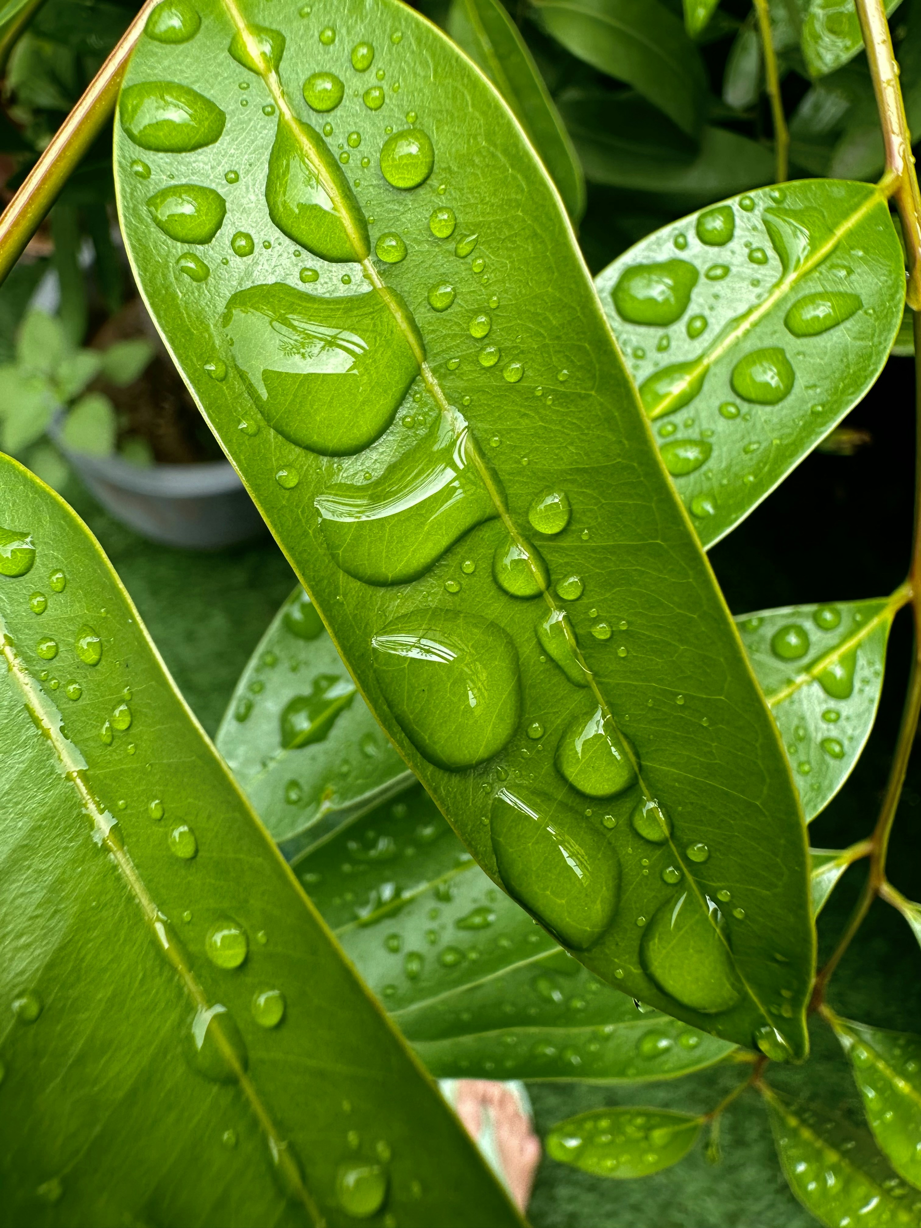 Photo by neelakshi_singh_