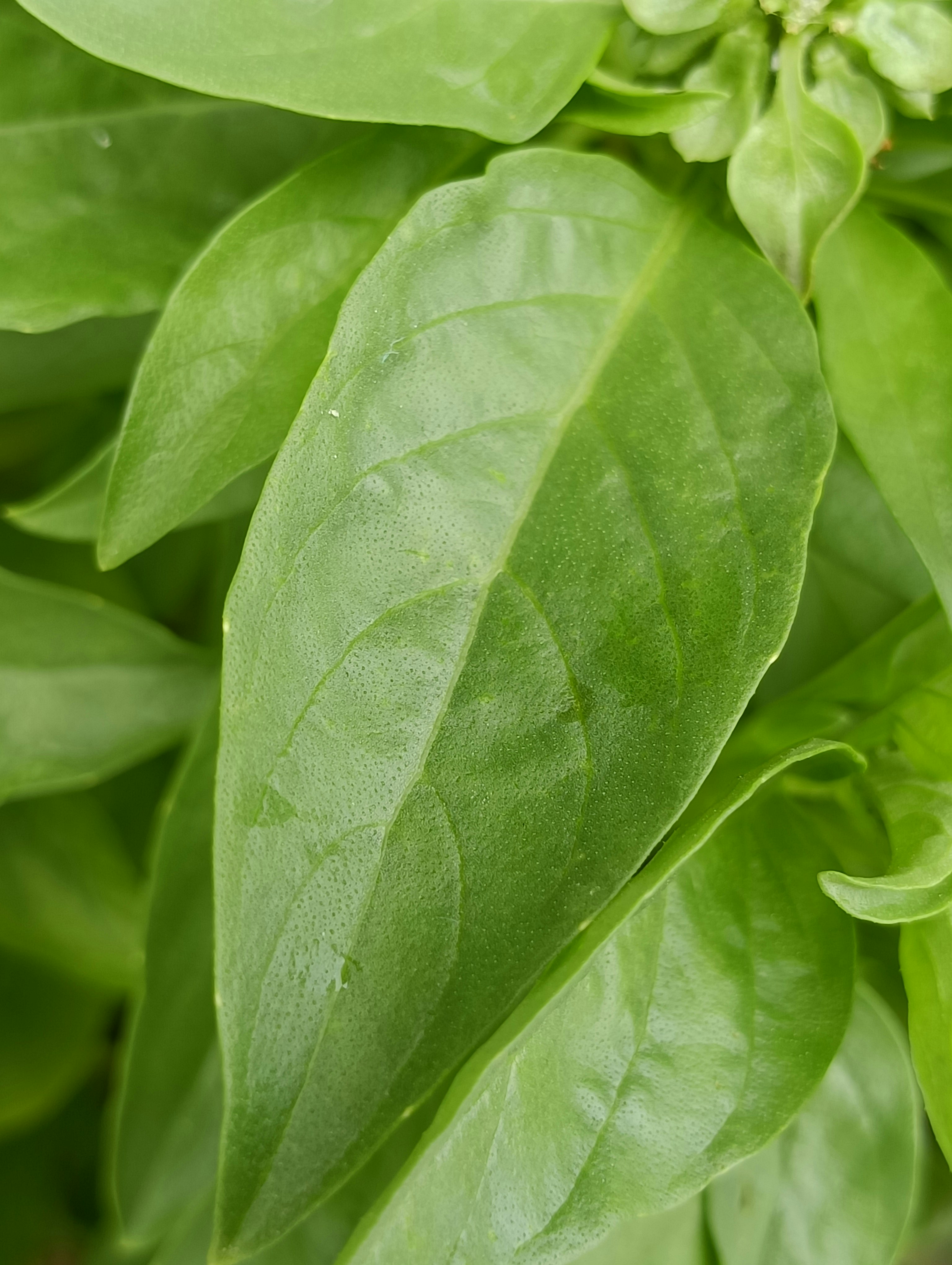 Photo by vikasgoswamivkg