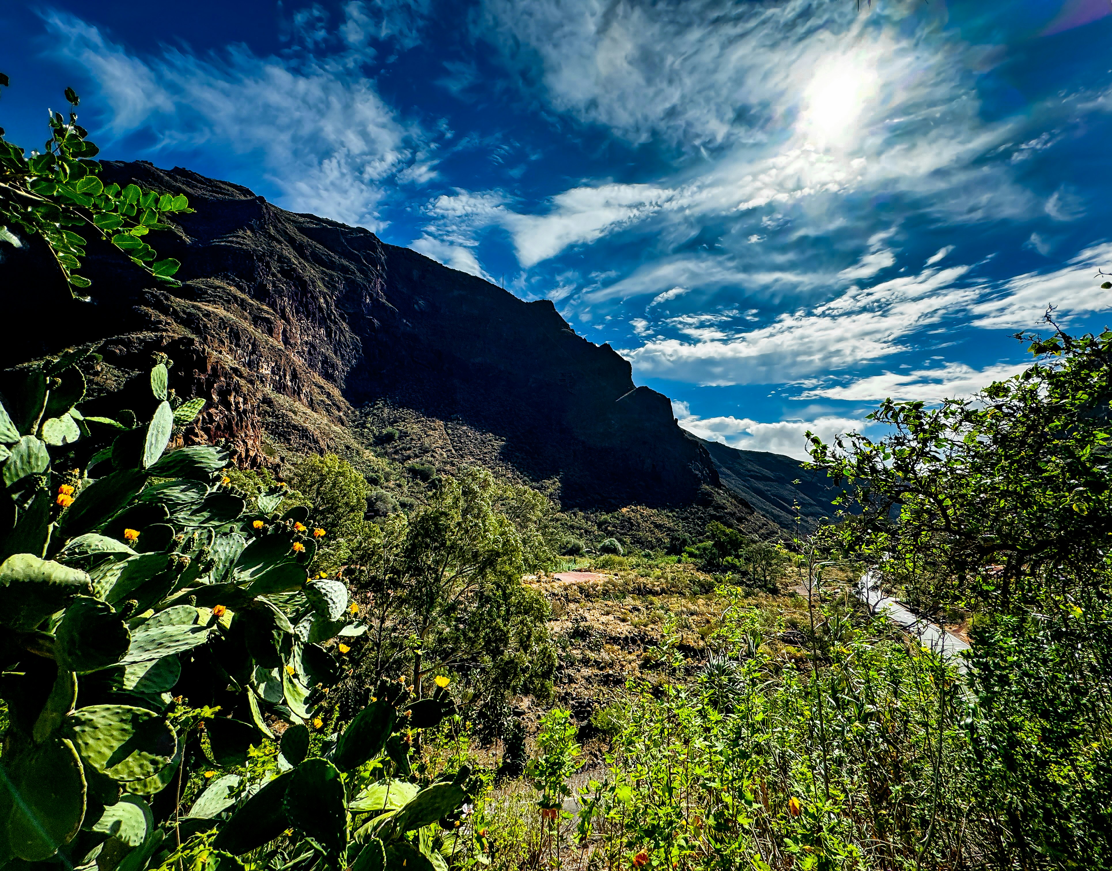 A scenic view of a mountain and a river