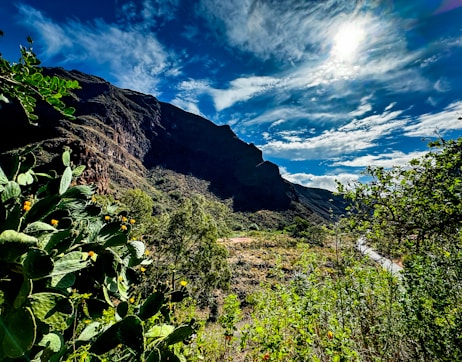 Luminisle Canary Island
