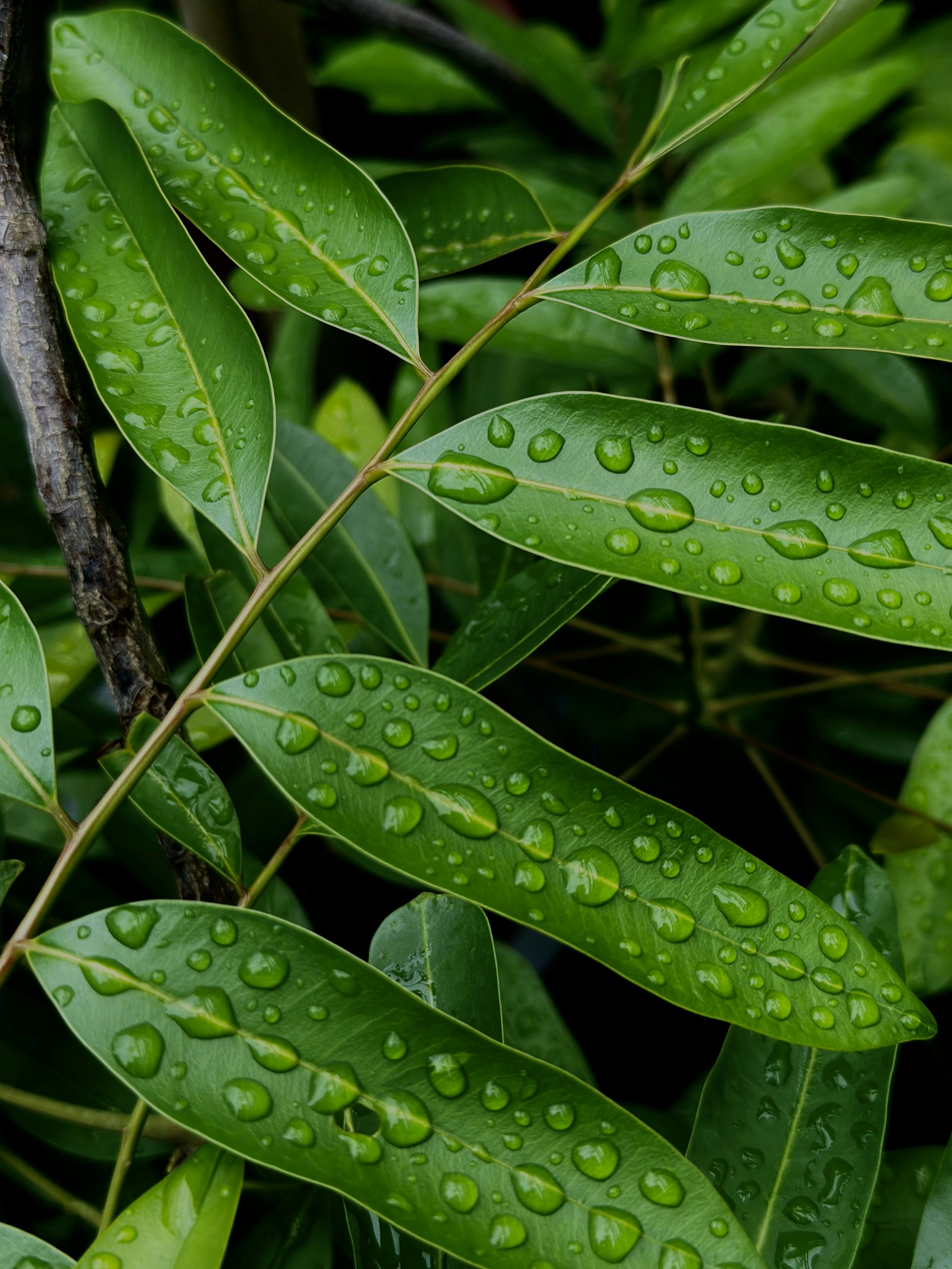 Photo by neelakshi_singh_