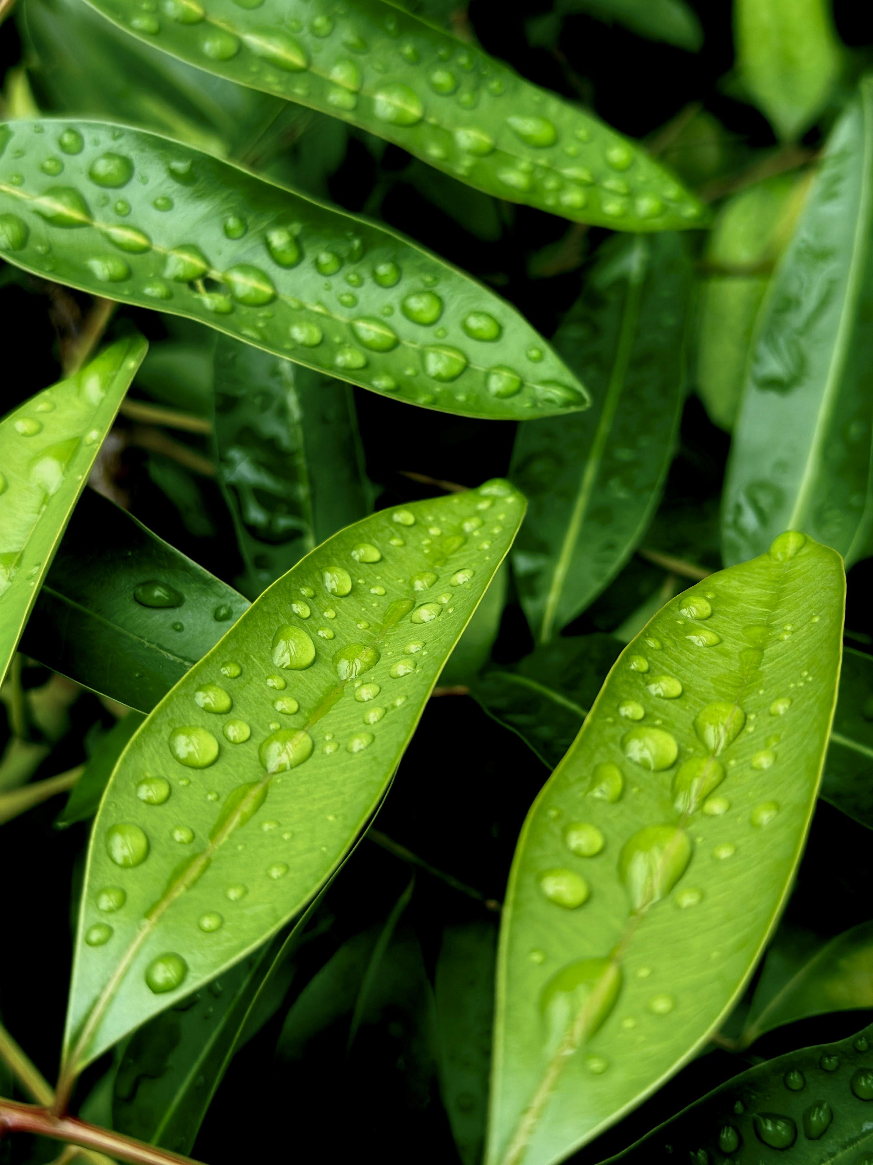 Photo by neelakshi_singh_