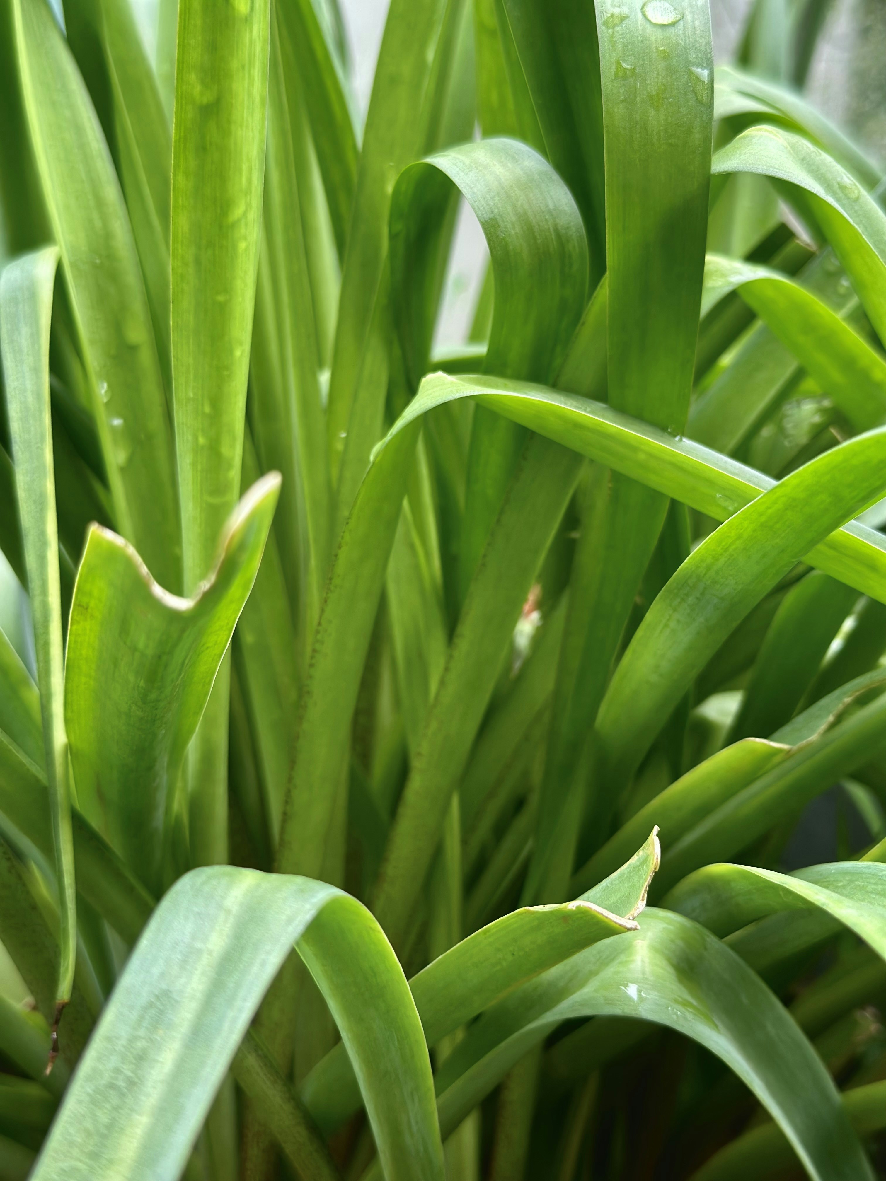 Photo by neelakshi_singh_