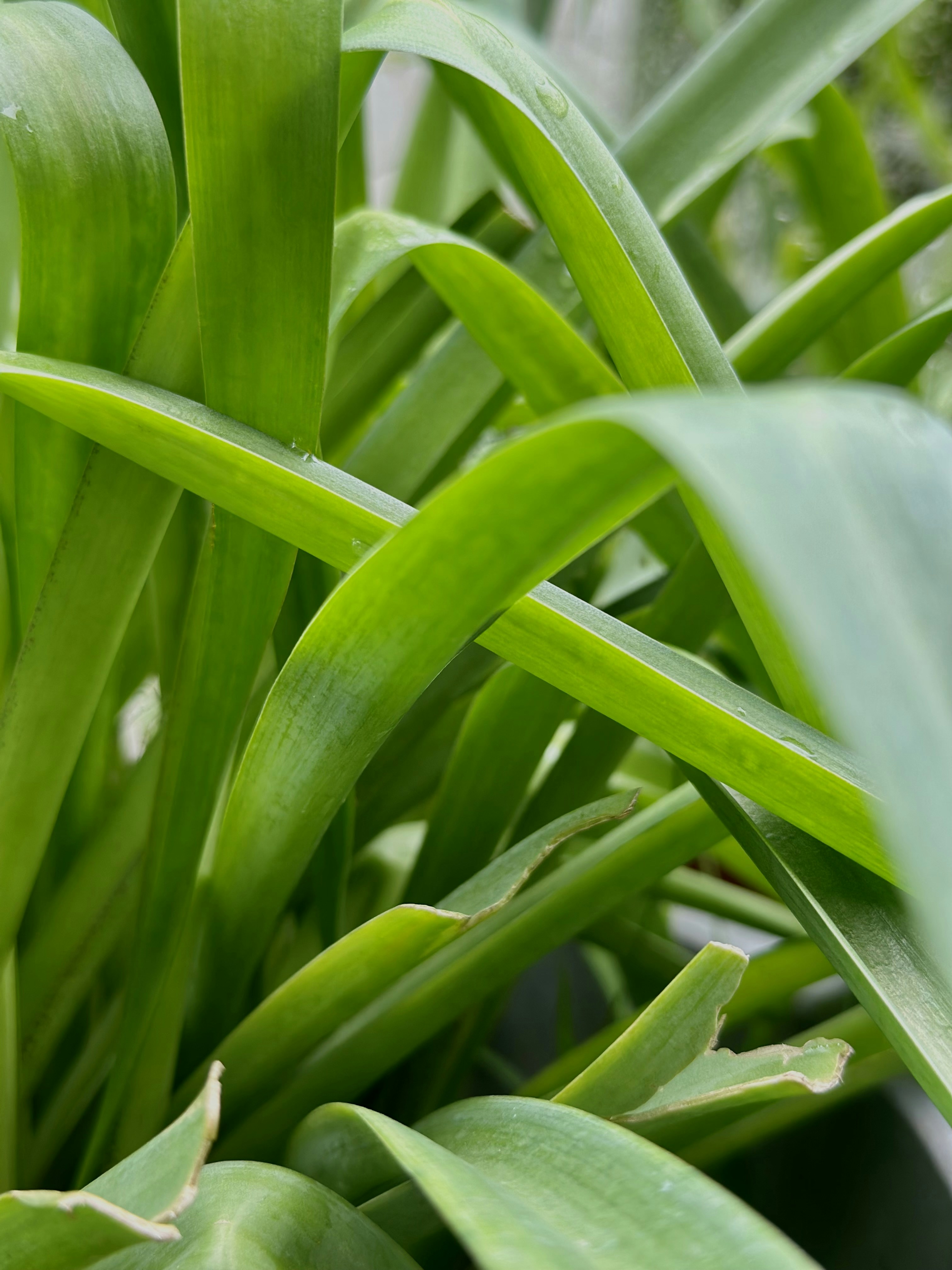 Photo by neelakshi_singh_