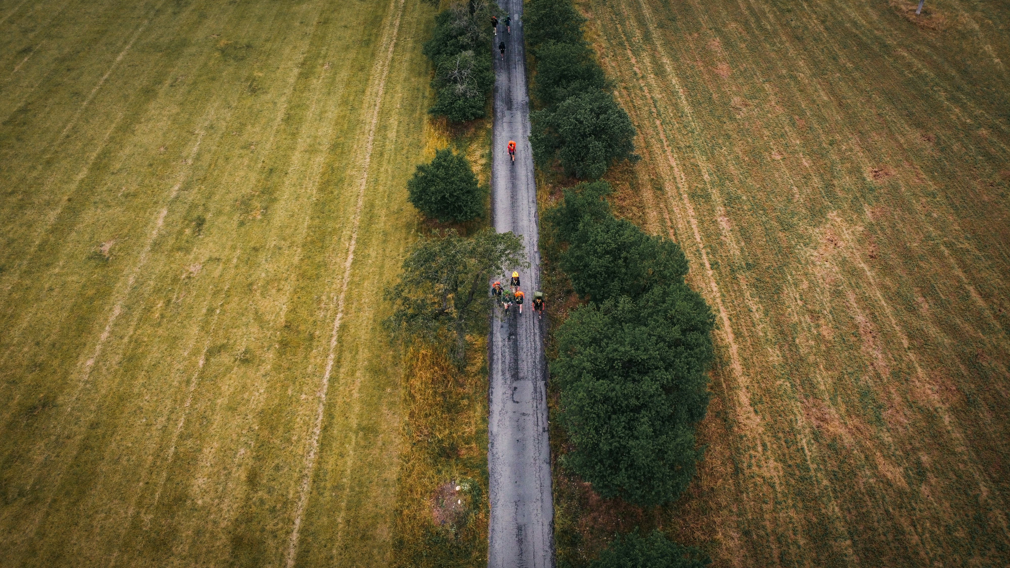 An aerial view of a road in the middle of a field