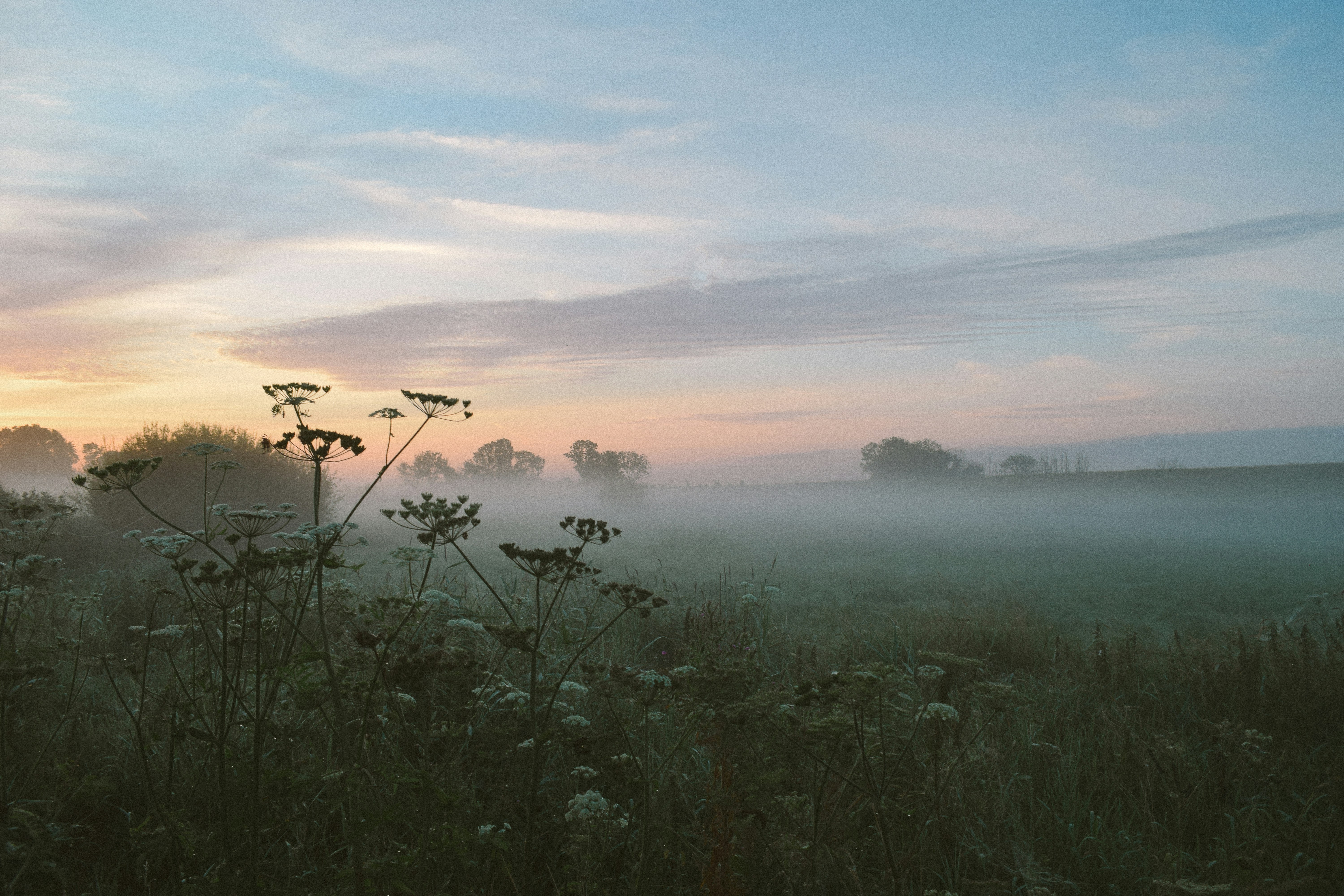 Photo by wanderlandjournal