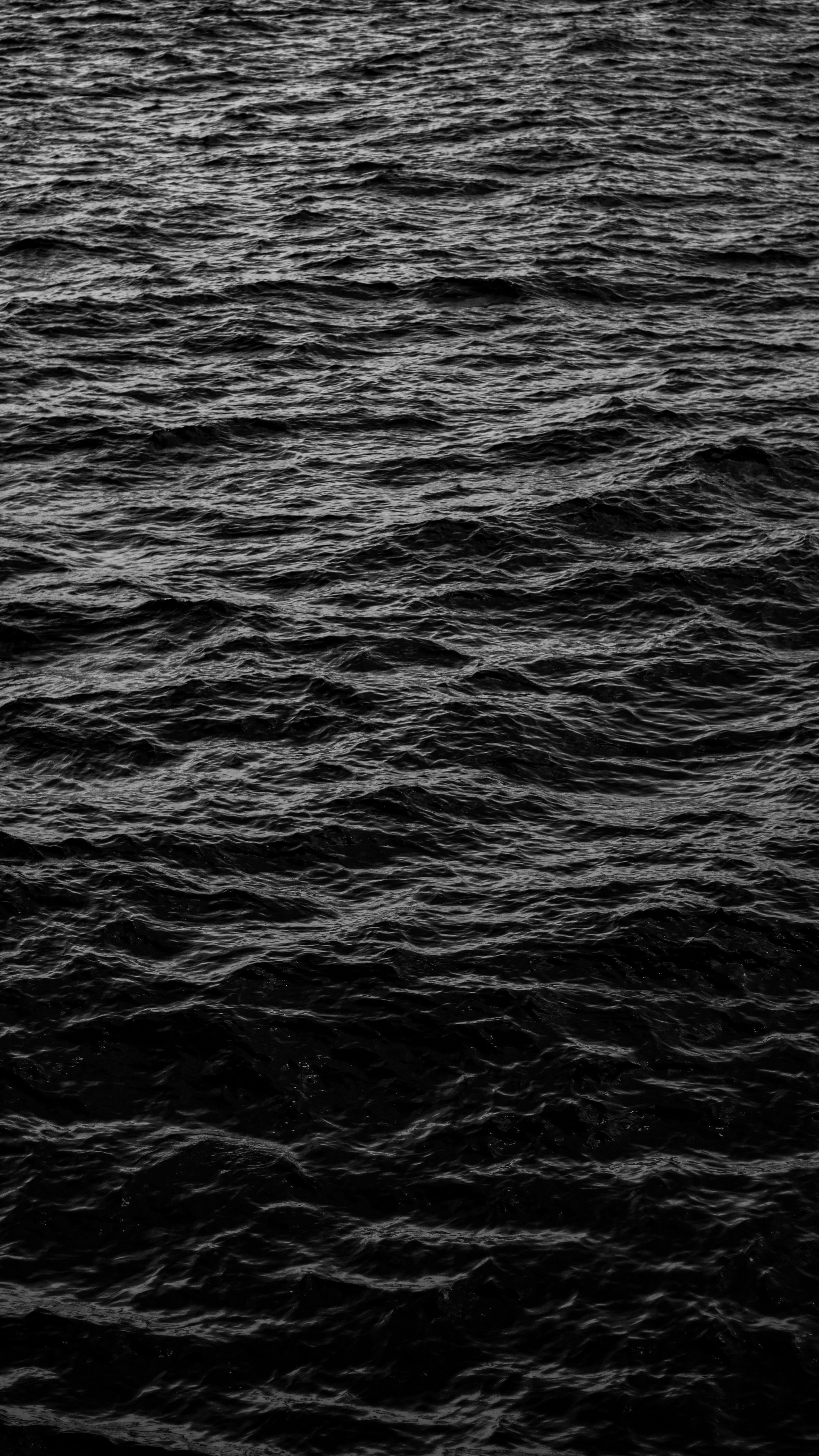 Photo by parhamlotfi