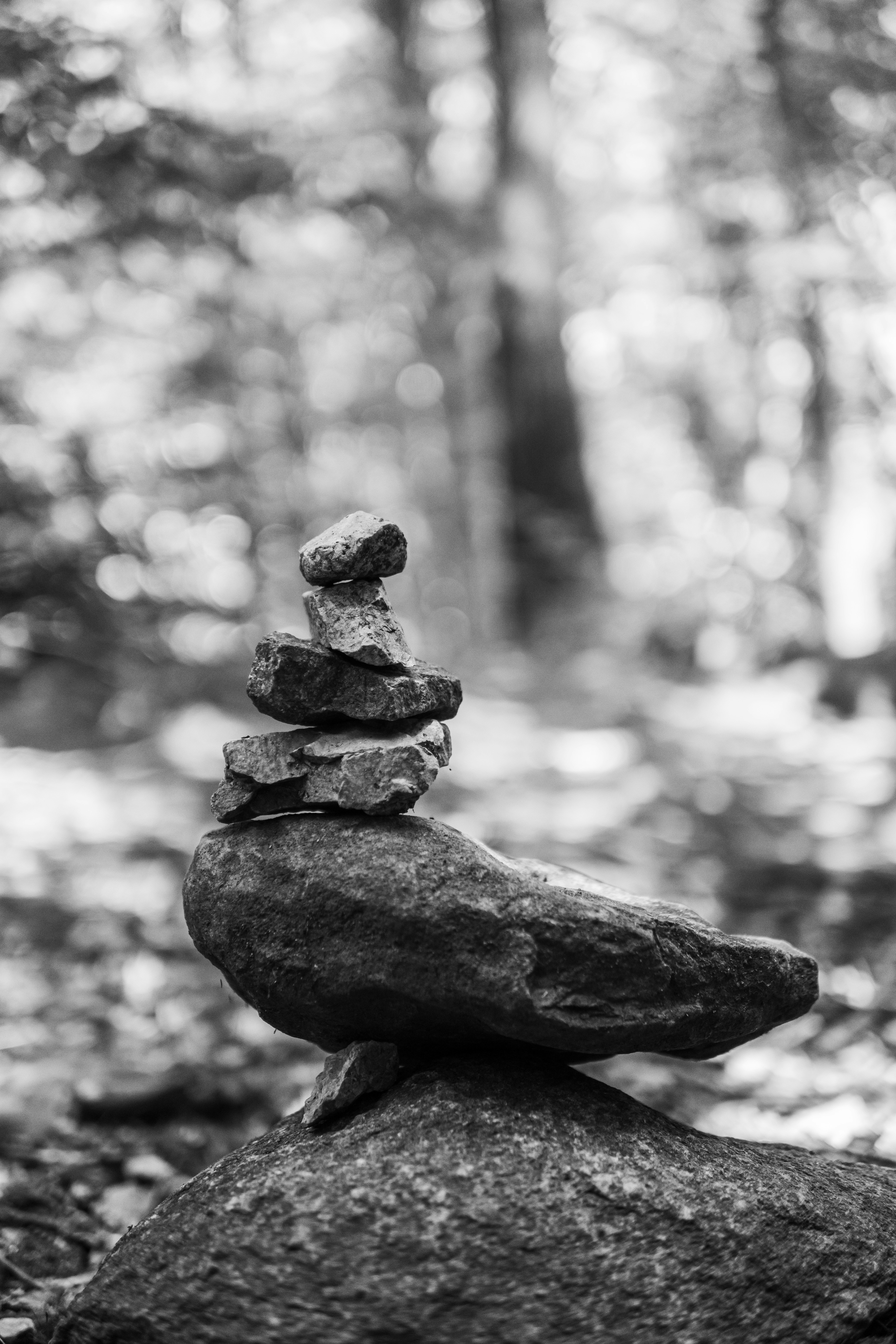 Photo by nikolasivkov