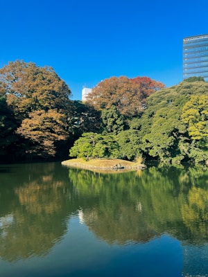 Shinjuku Gyoen National Garden