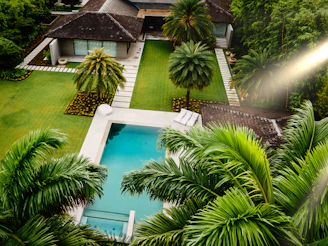 An aerial view of a house with a pool surrounded by palm trees