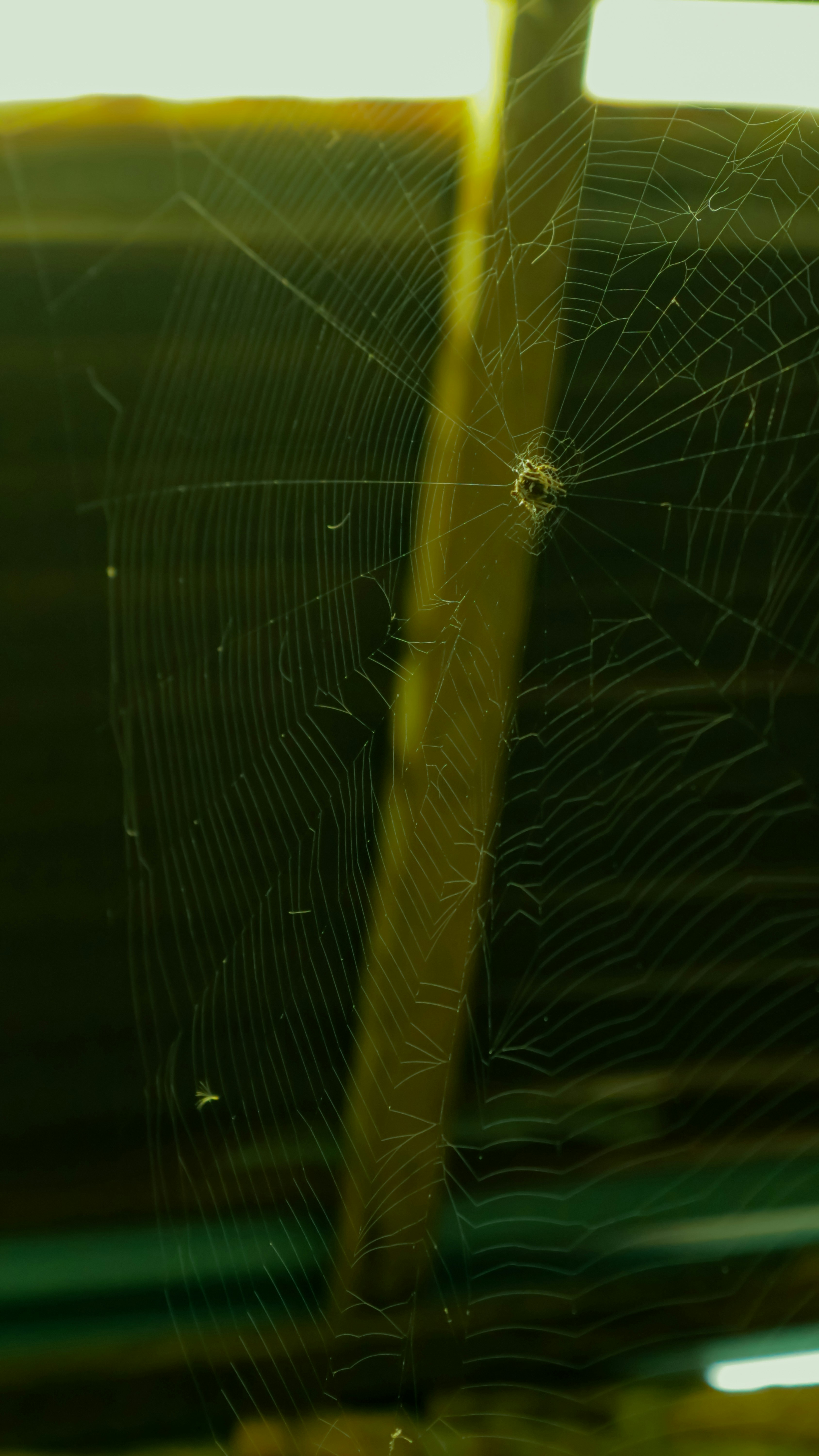 Cutting TTFB for Travel Demos: Practical Web Strategies for Booking Widgets (2026)