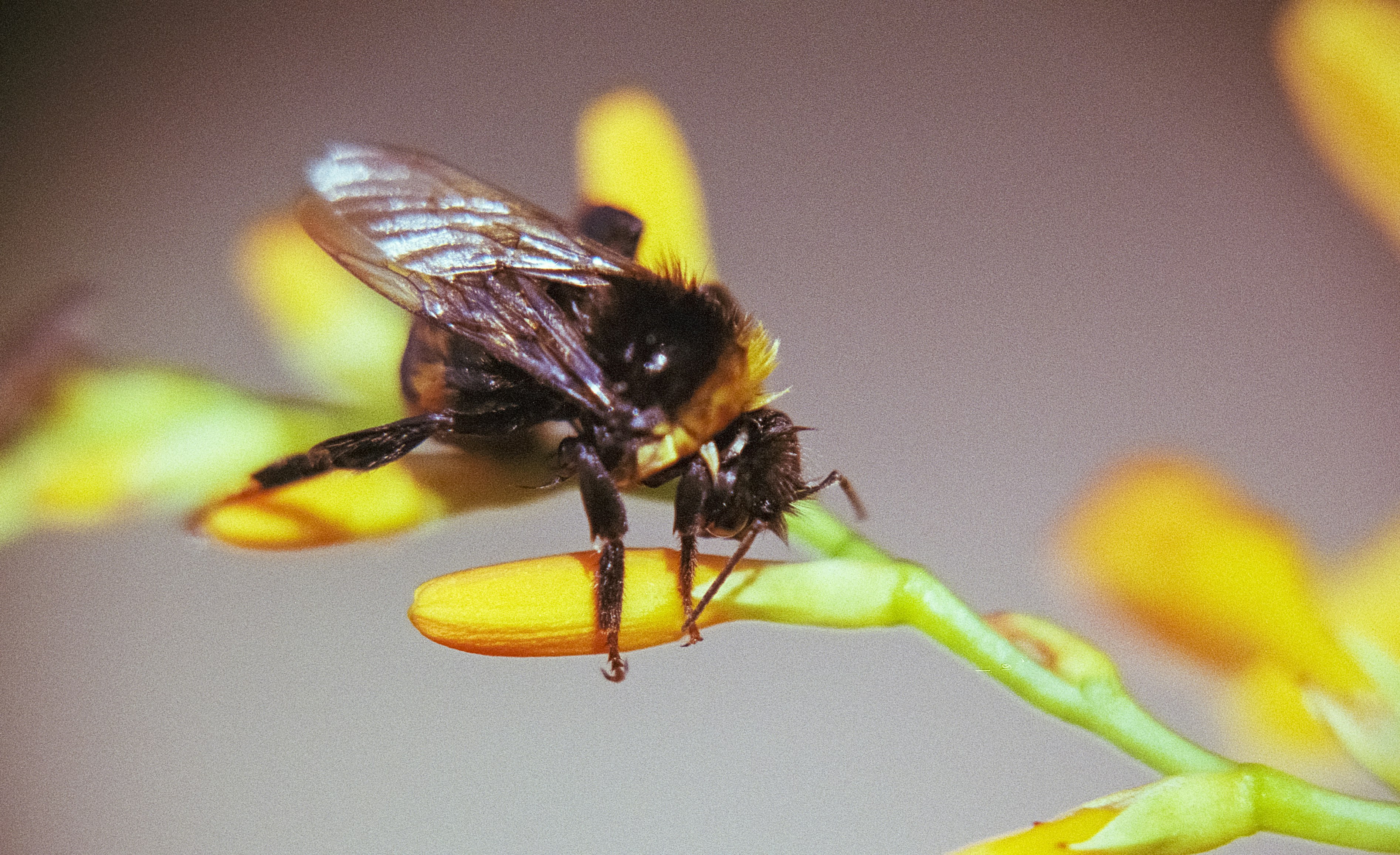 Photo by artistseyes