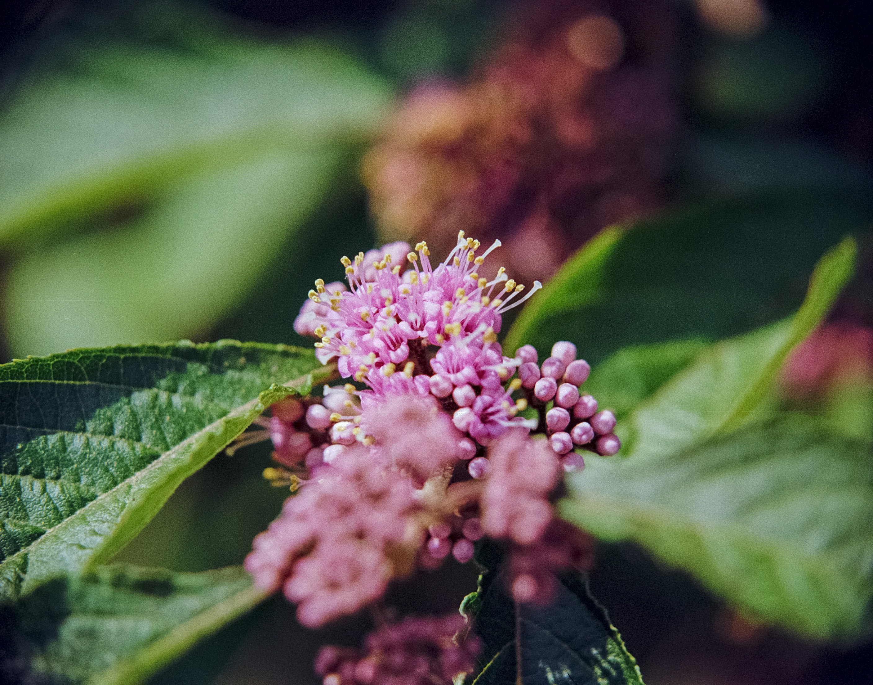 Photo by artistseyes