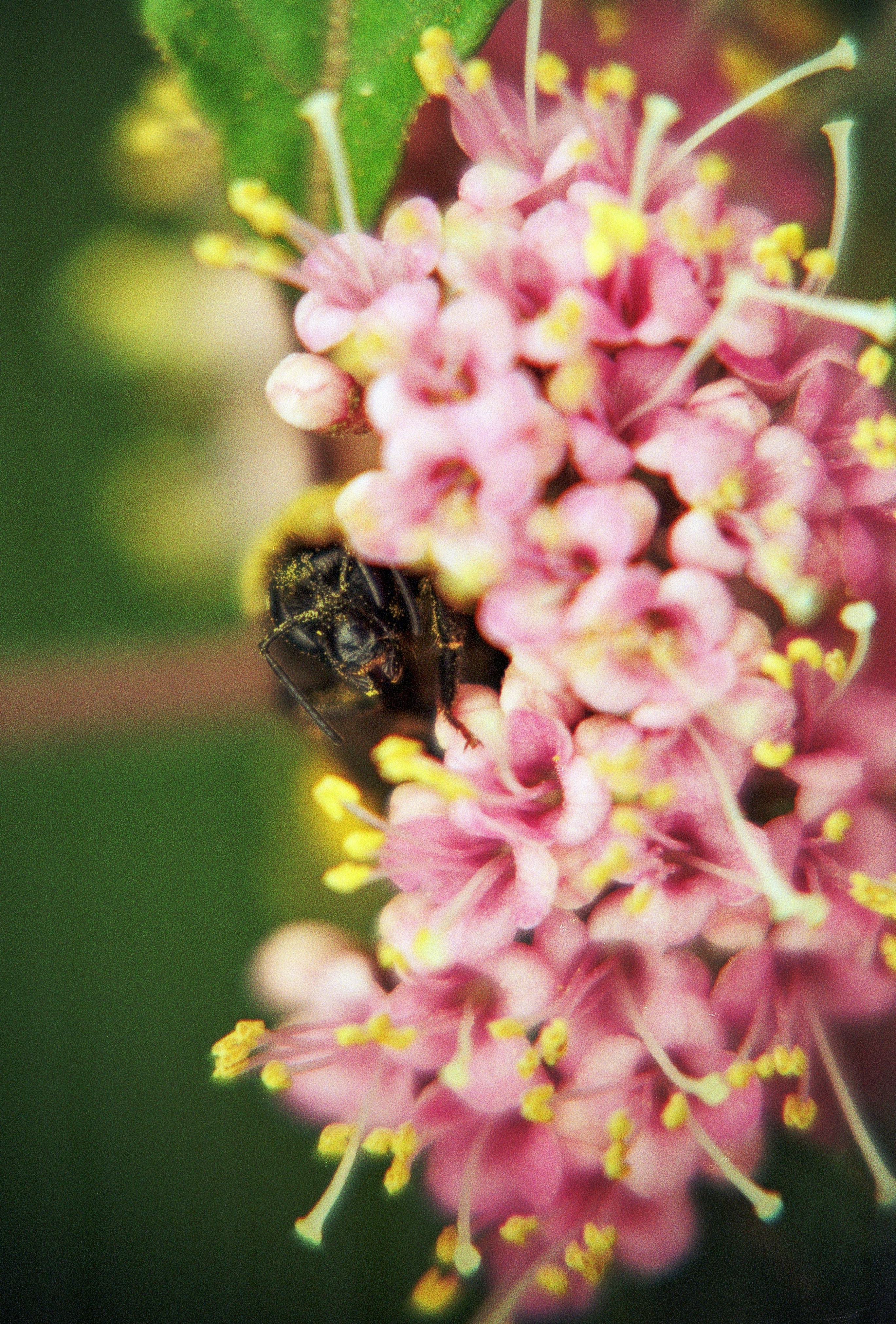 Photo by artistseyes