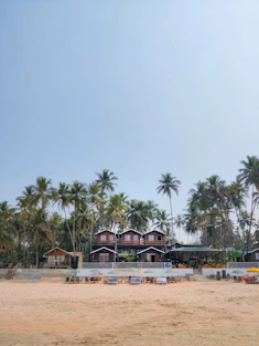 A sandy beach with a row of houses in the background