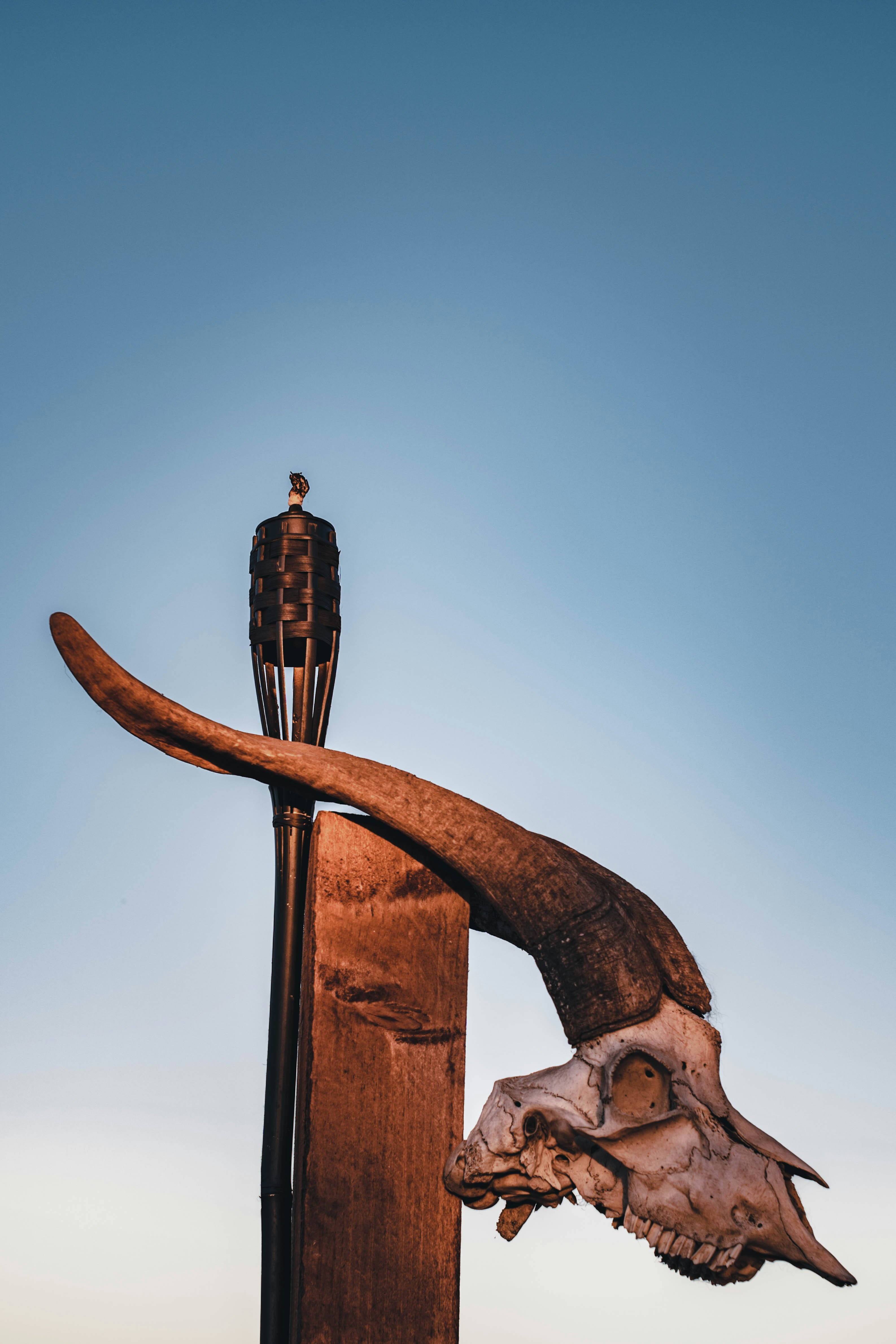 Photo by robertrazvanb