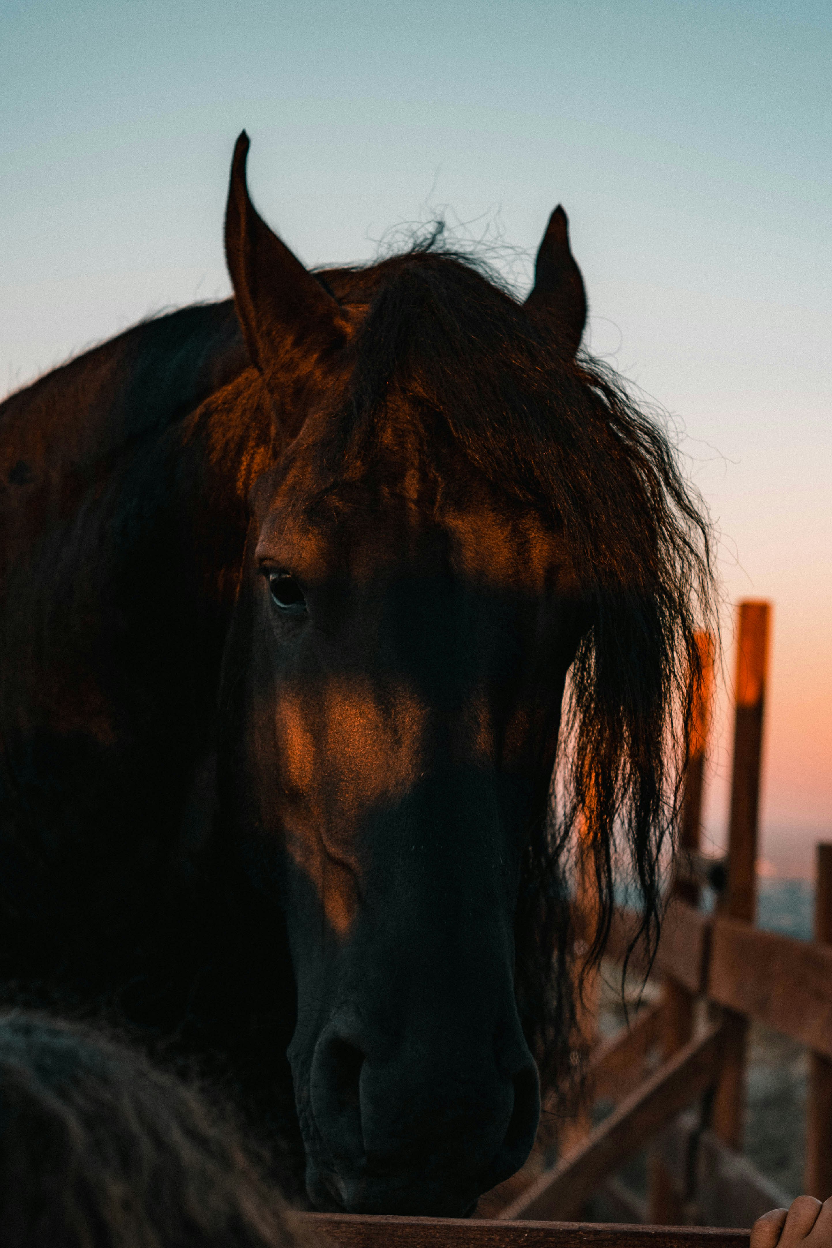 Photo by robertrazvanb