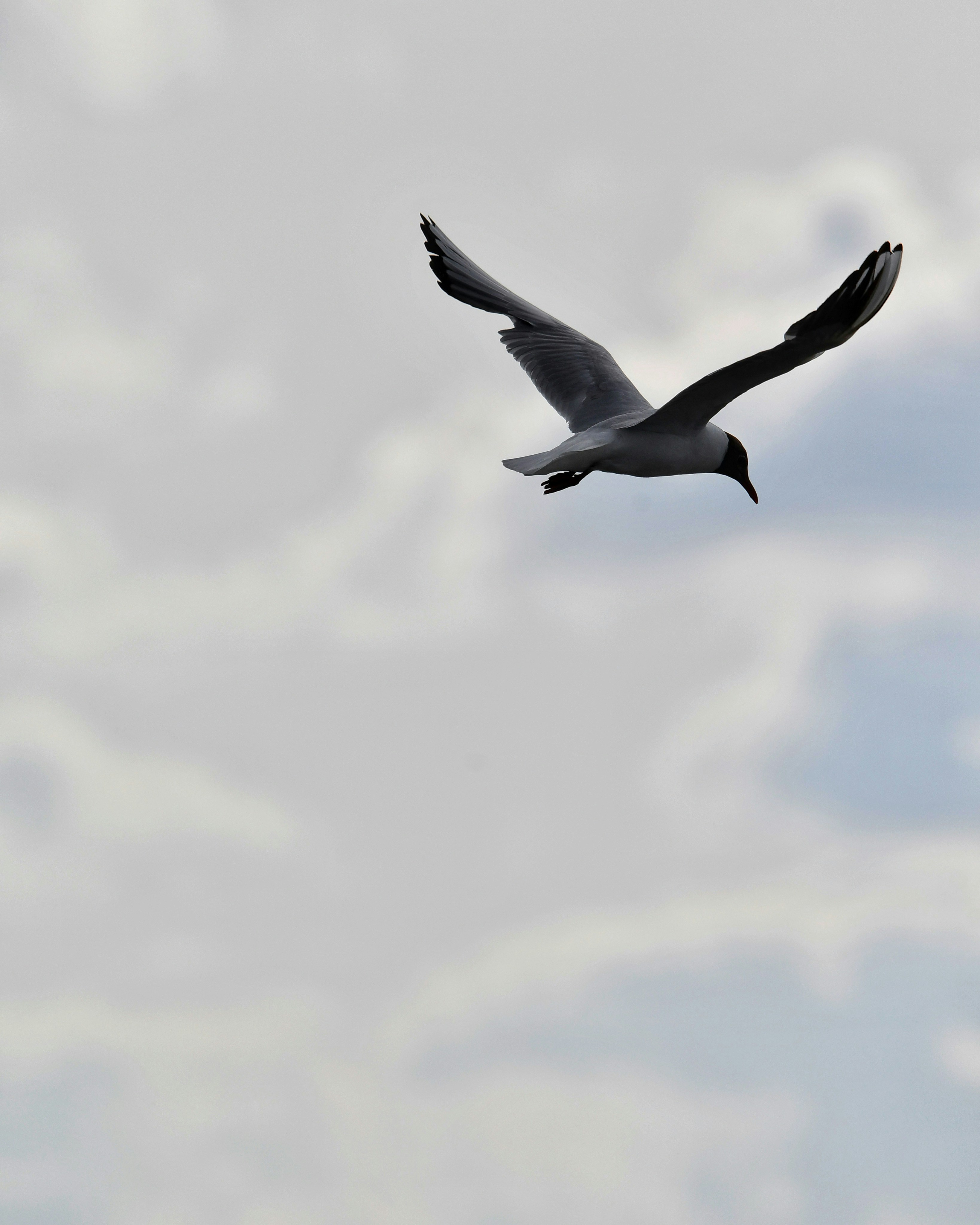 Photo by pedrino5_official