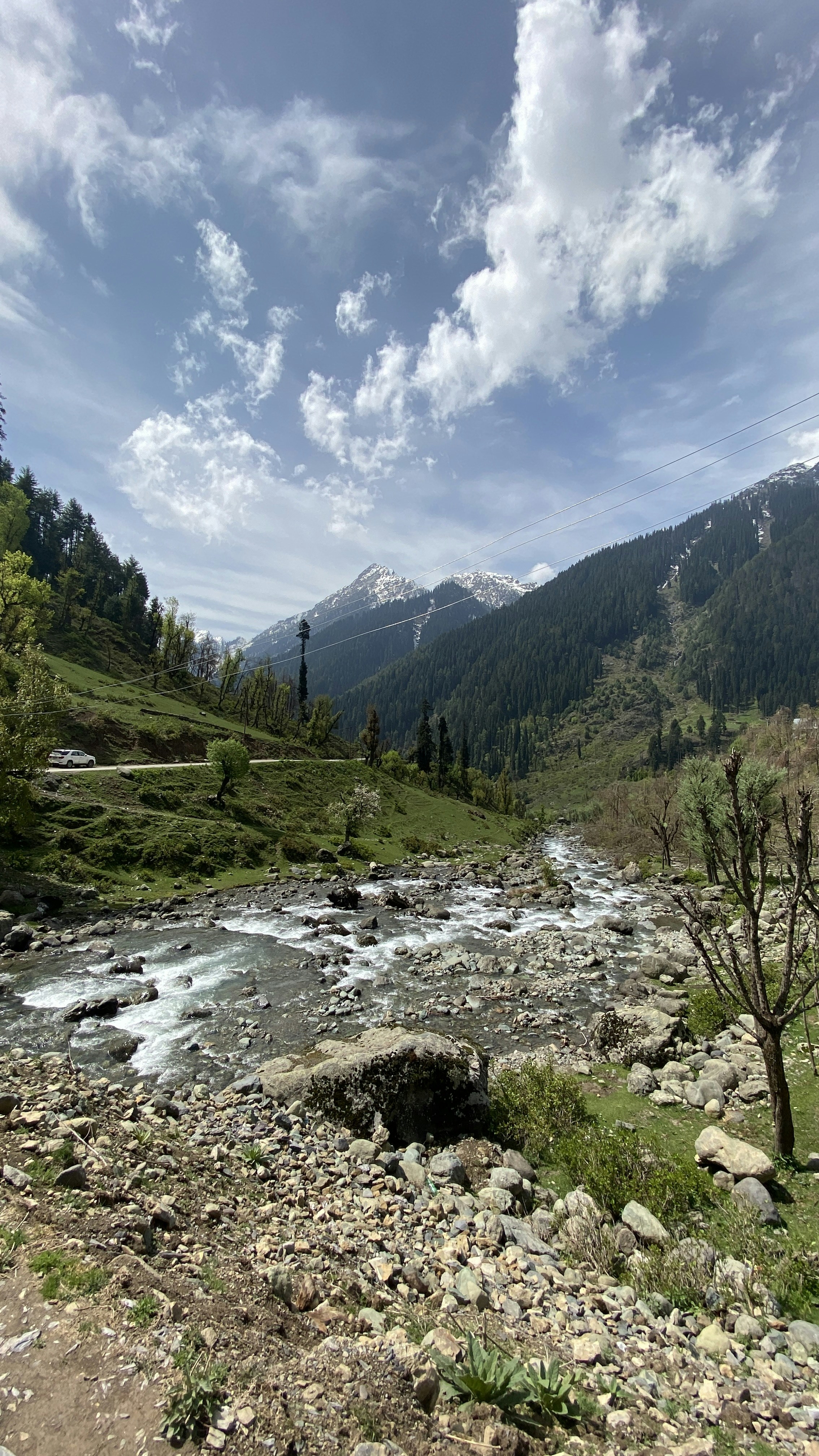 Photo by whitespace_photograph