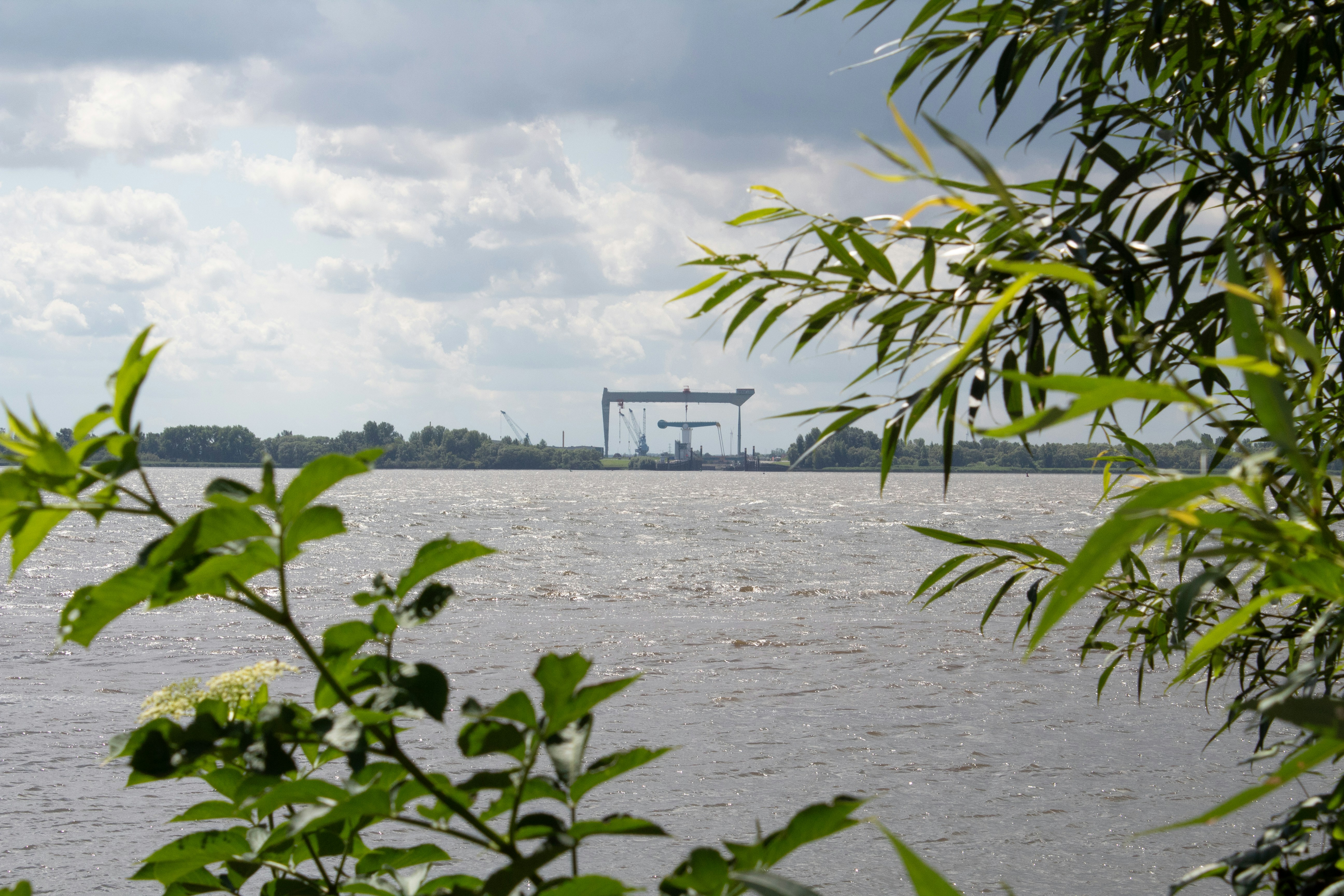 Photo by daidalos_paru