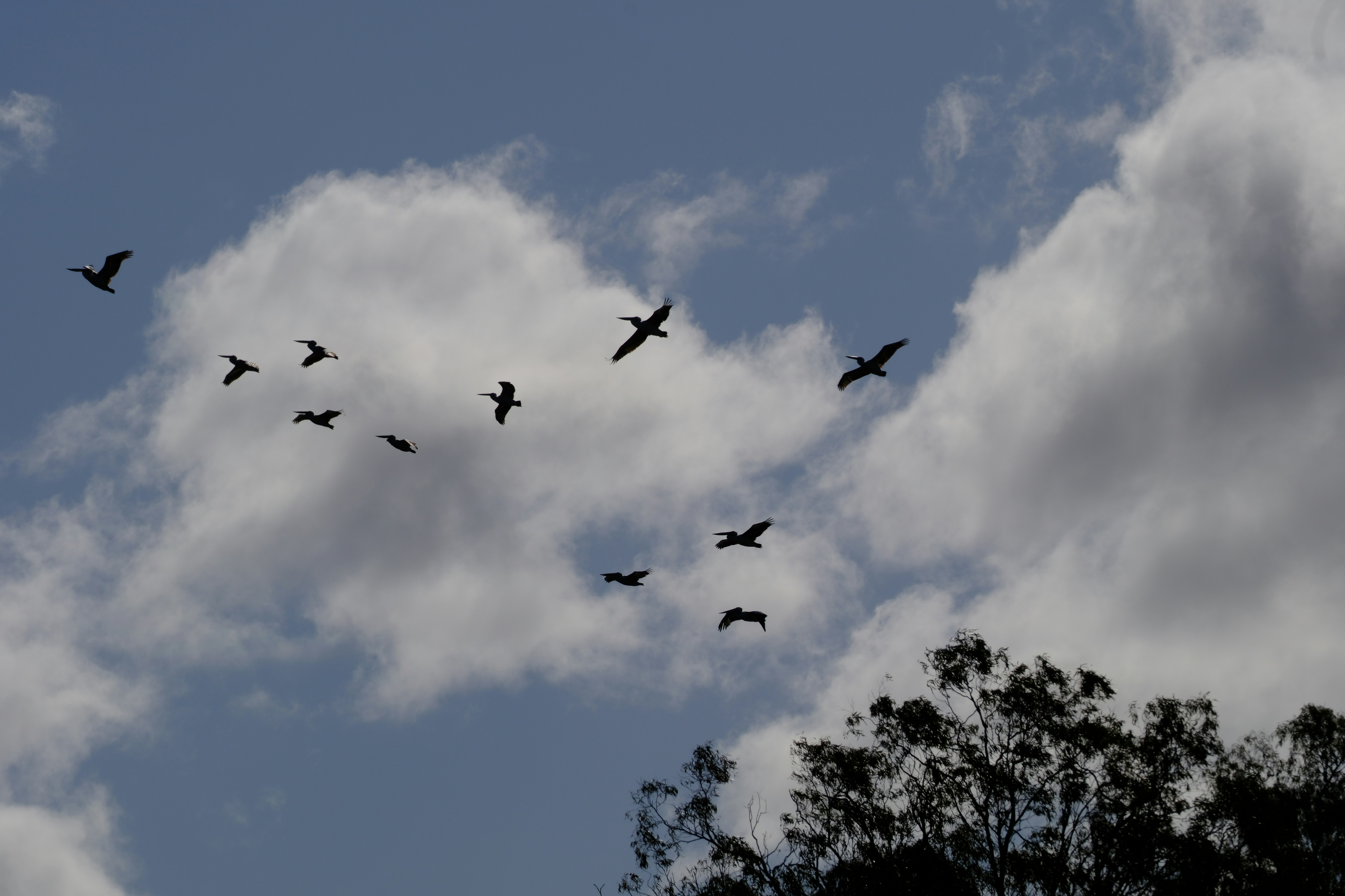 Photo by waltc