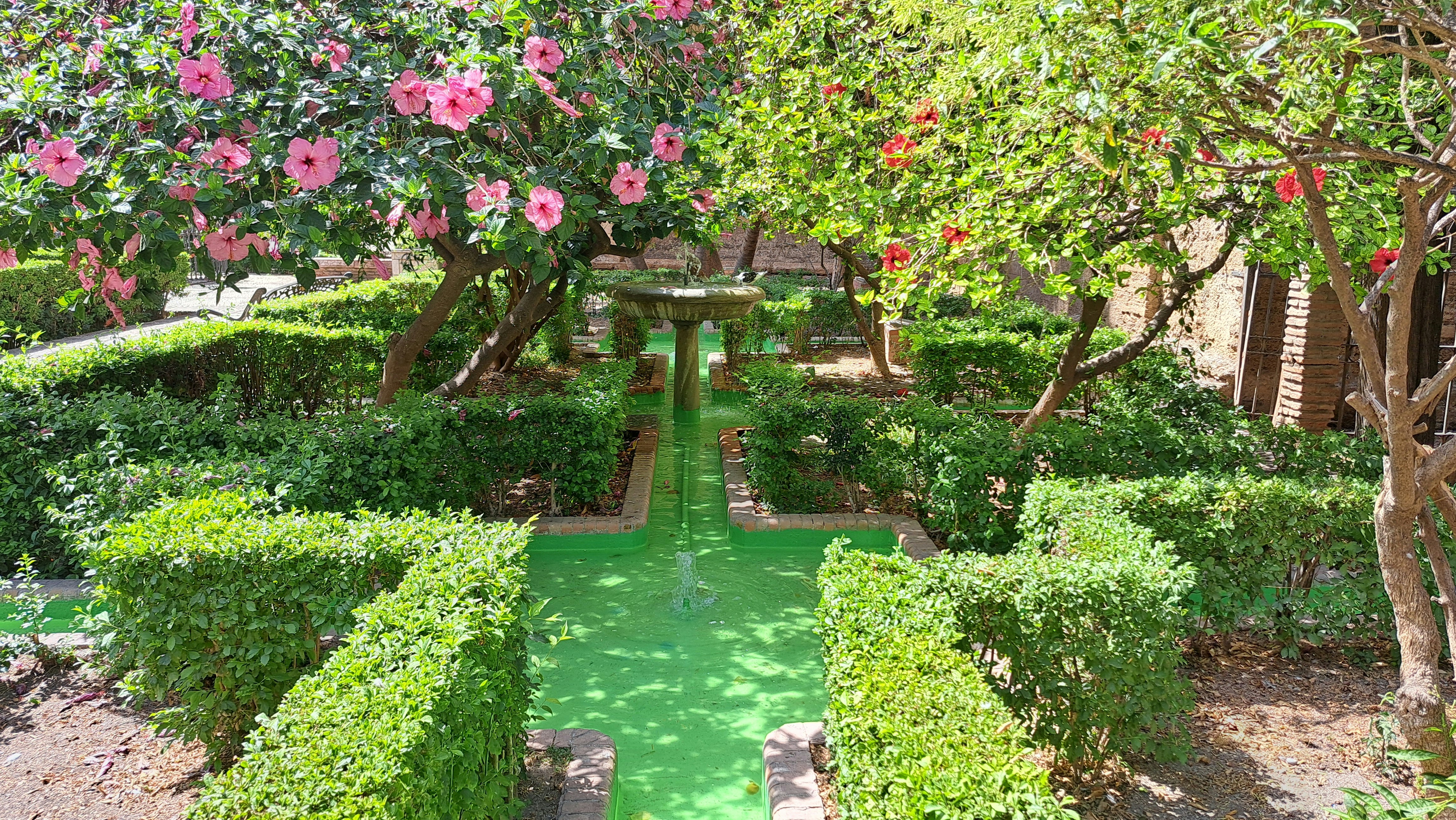 Photo by guardiola86