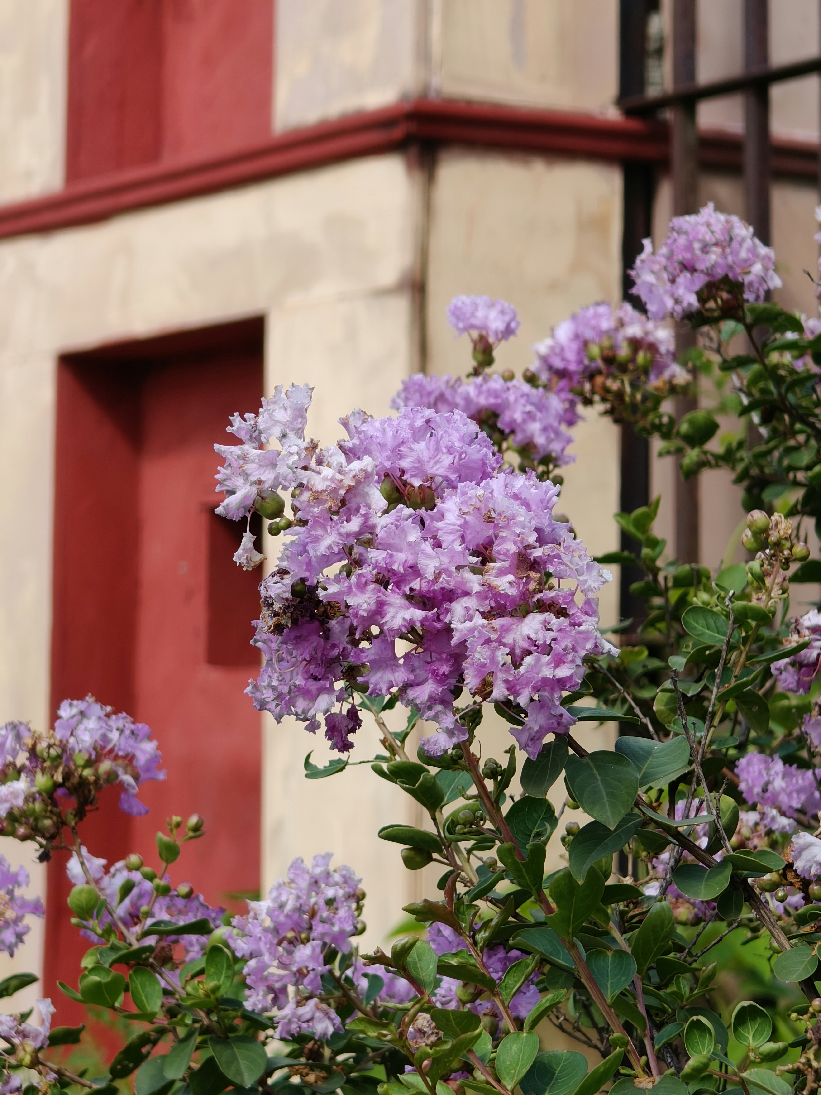 Photo by syed_yahya5