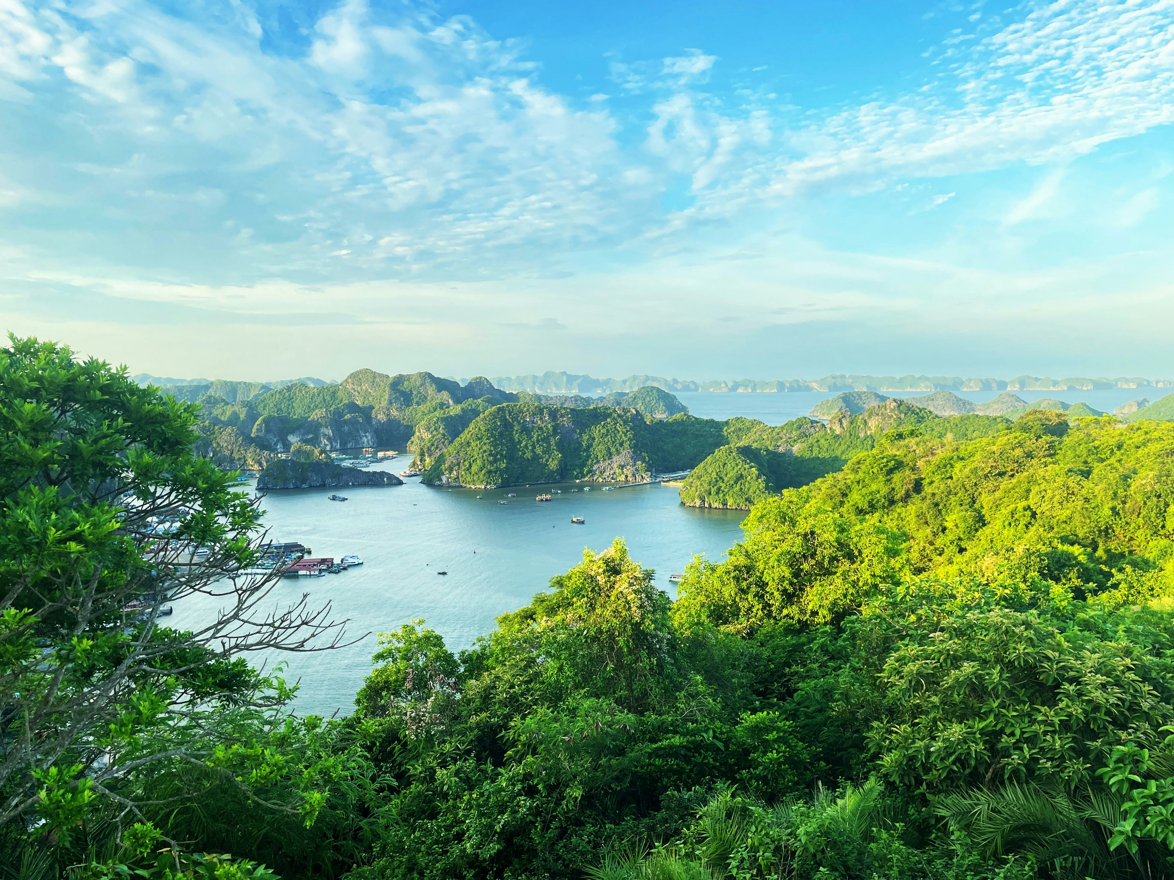 A scenic view of a body of water surrounded by trees, Lan Ha Bay, Vietnam
