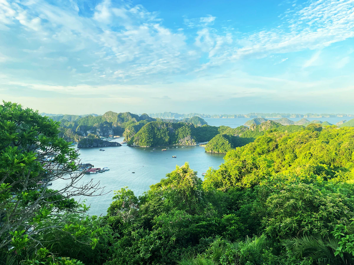 Lan Ha Bay Emerald Waters and Limestone Towers